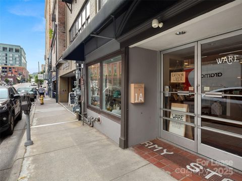 51 College Street 1A Asheville NC 28801