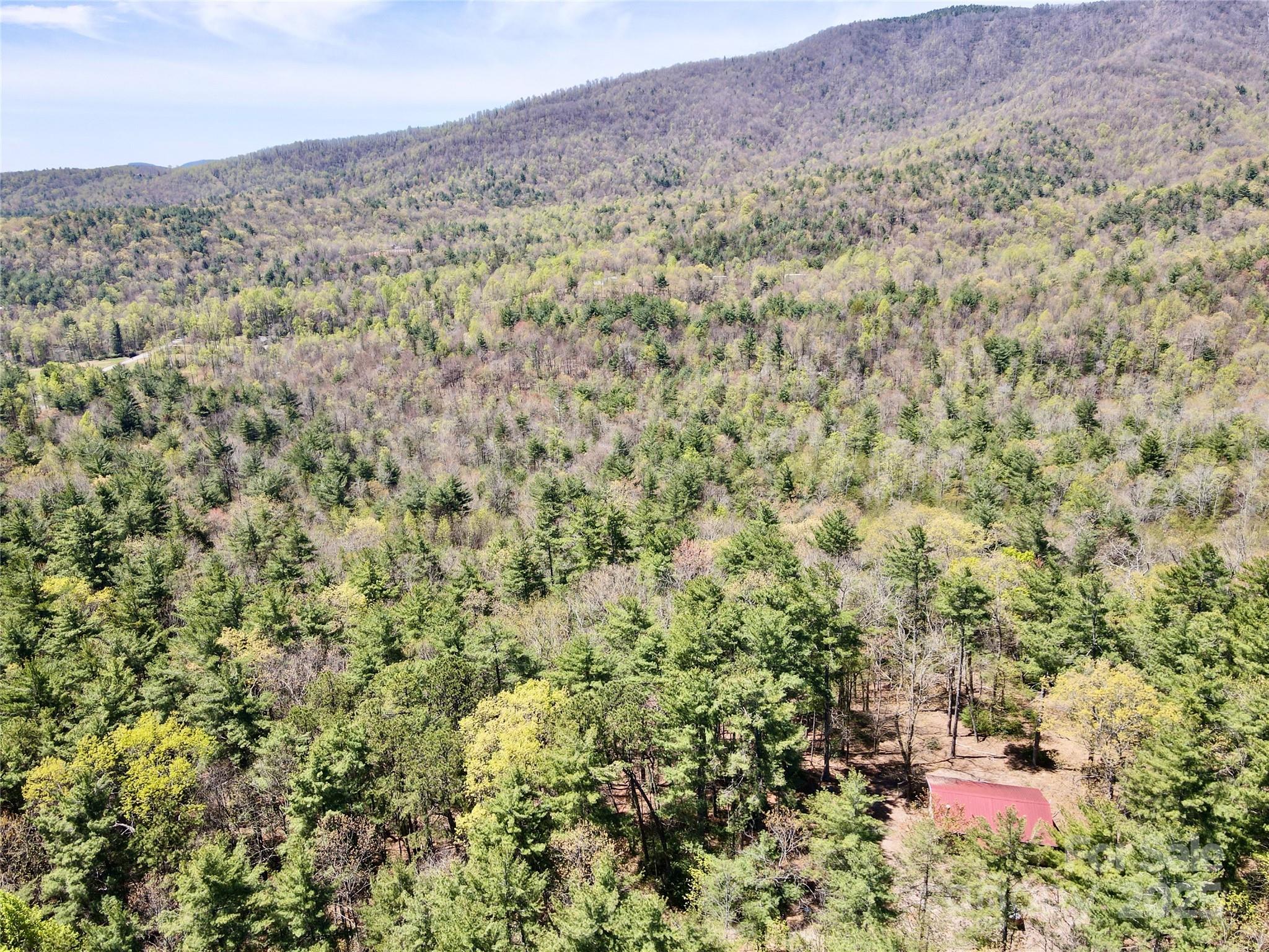 393 Grassy Ridge Lane