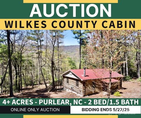 393 Grassy Ridge Lane Purlear NC 28665