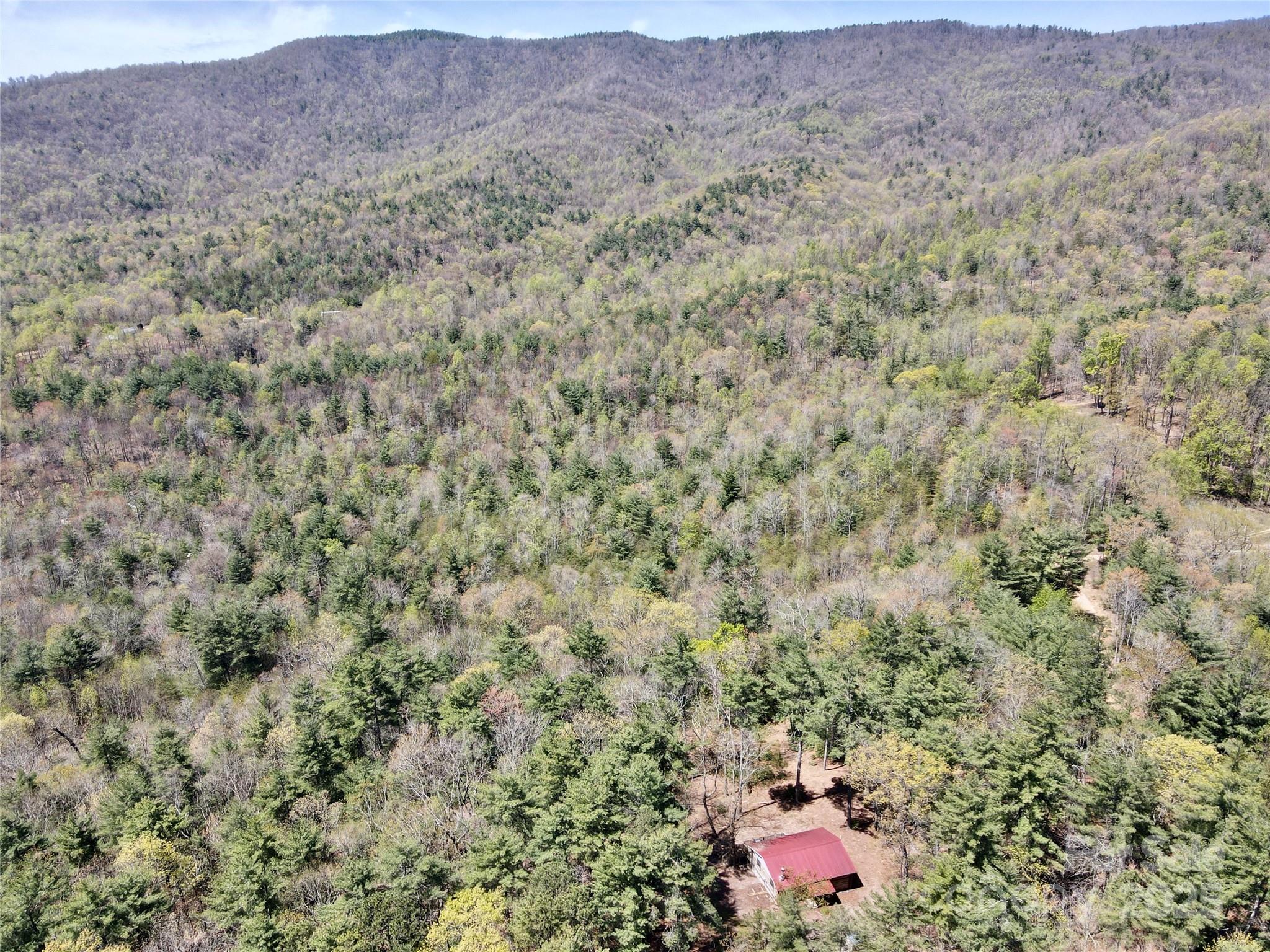 393 Grassy Ridge Lane