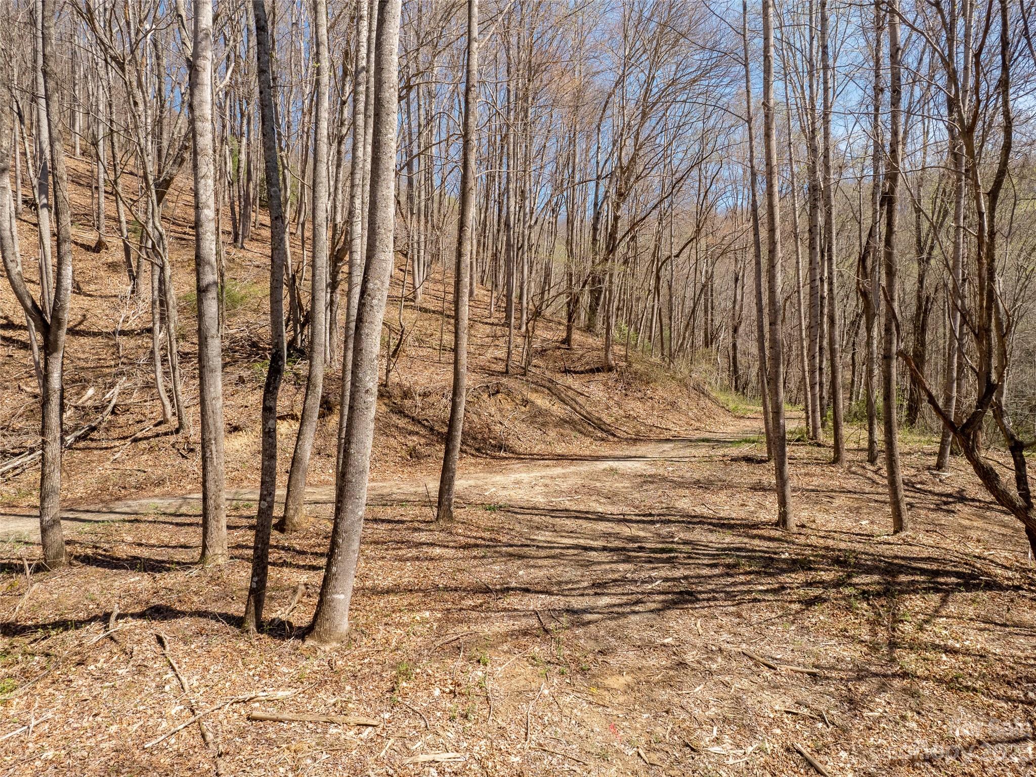 Merrills Ridge - Land