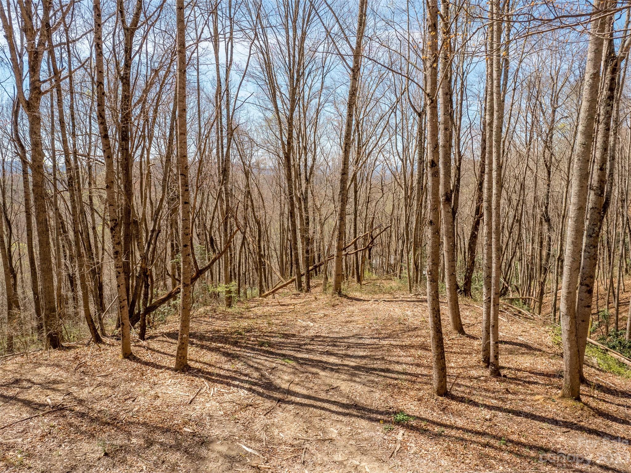 Merrills Ridge - Land