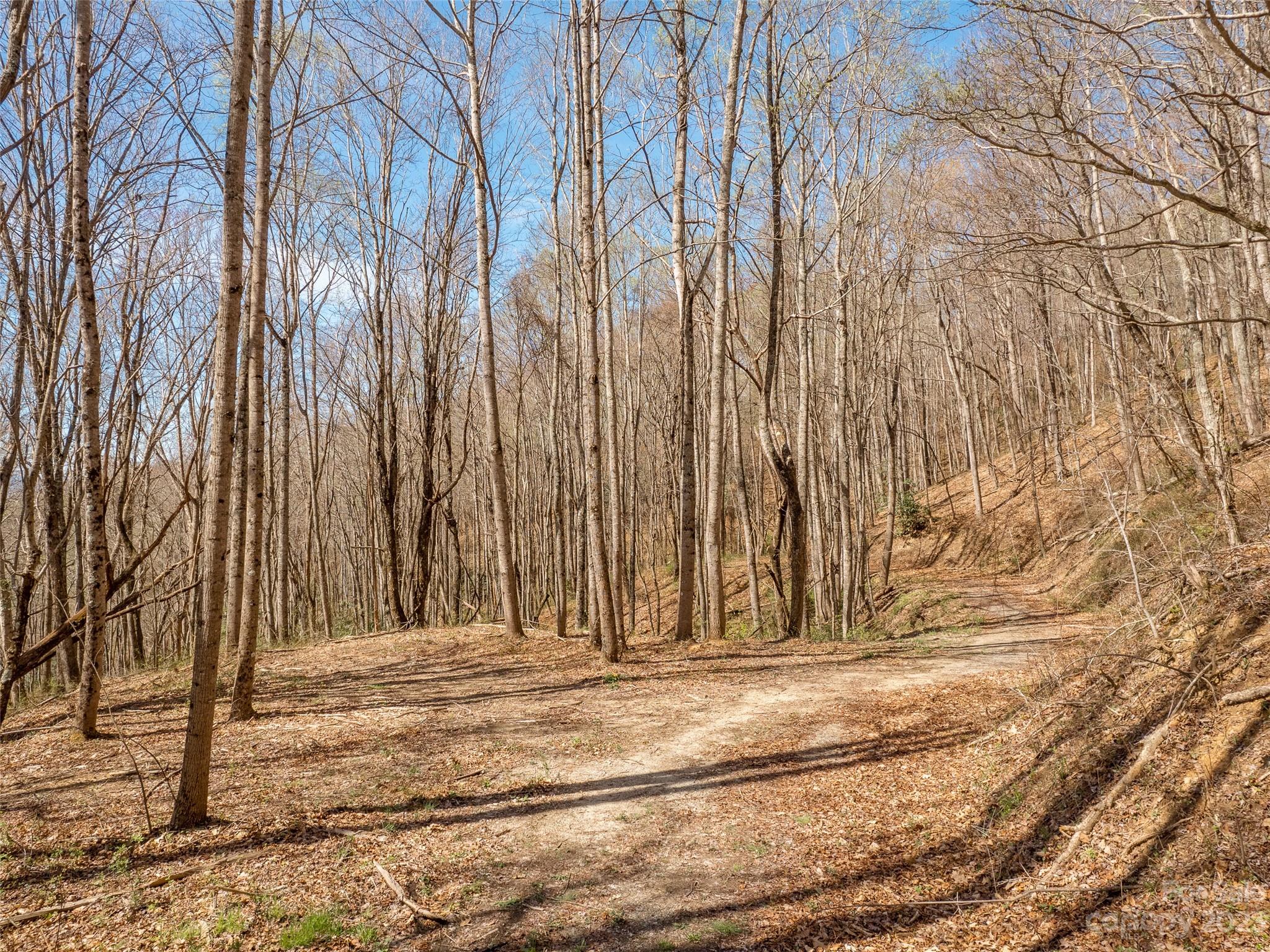 Merrills Ridge - Land
