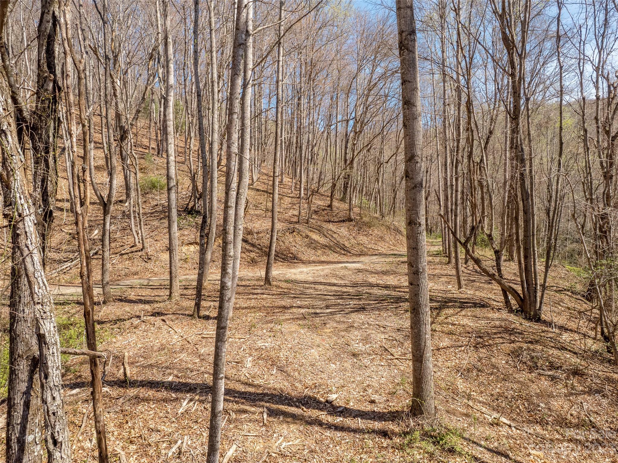 Merrills Ridge - Land