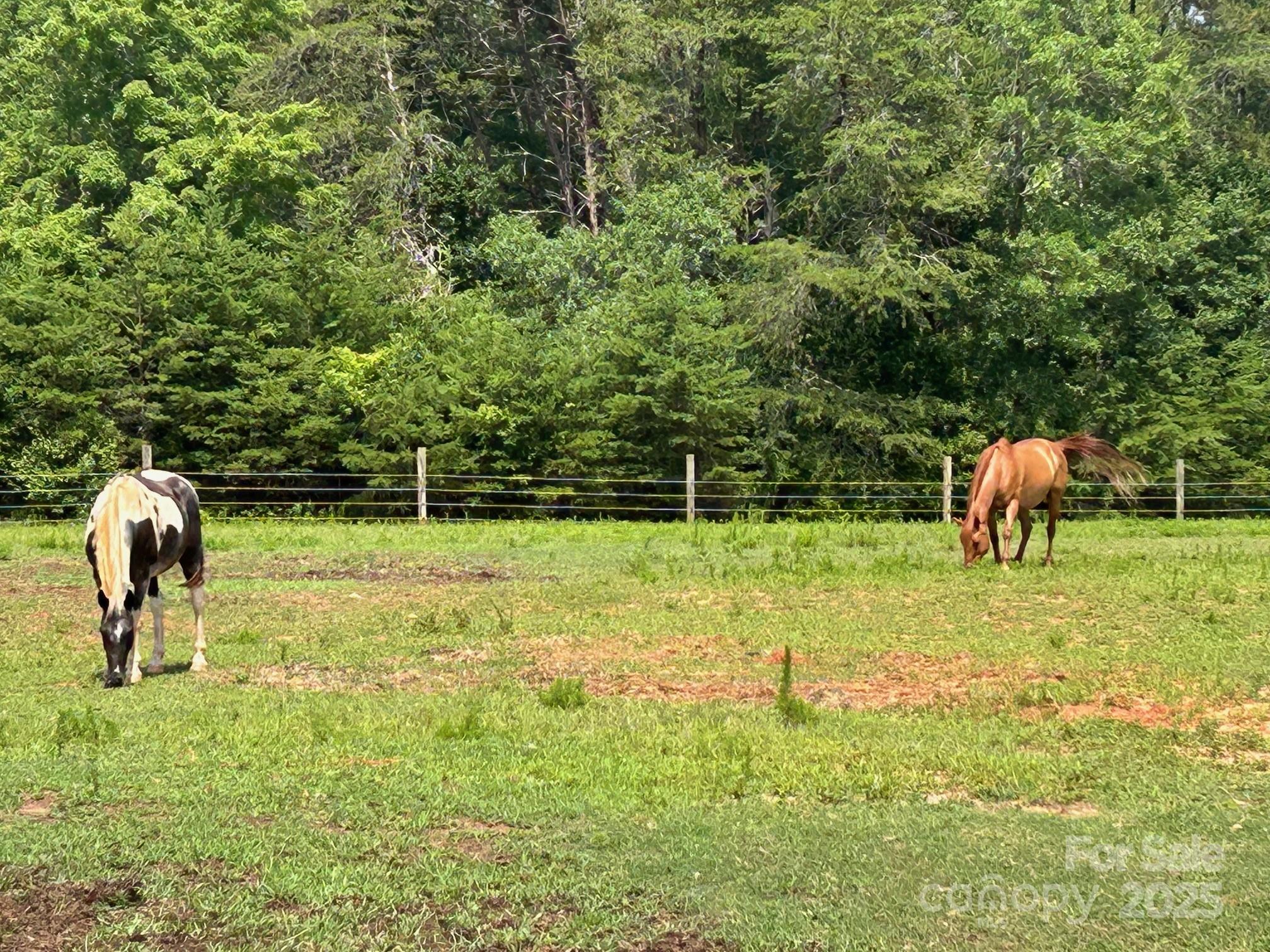 847 Crowe Dairy Road