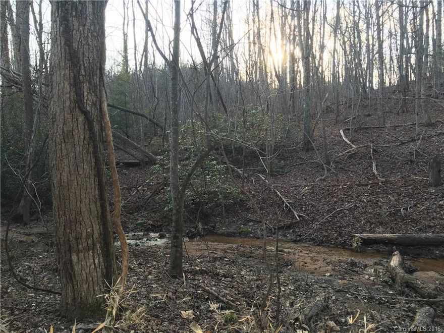 Appealing sizable lot located in the middle of horse country with direct access to the FETA trail system. Multiple possible building sites. Creek running through property. Access from state maintained paved road. Perfect for a small horse farm or a private mountain home.