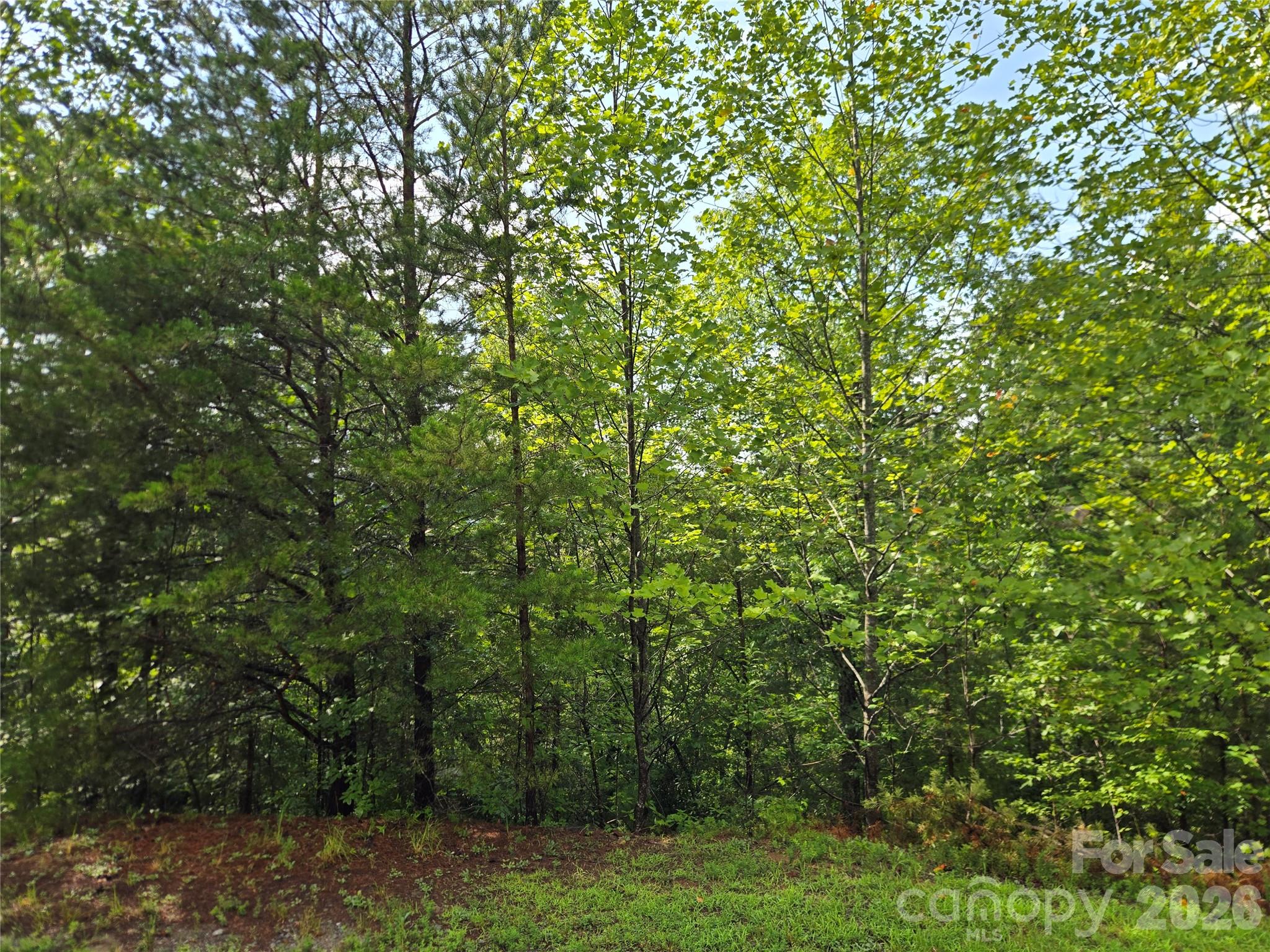 0 Pinegrove Drive 161