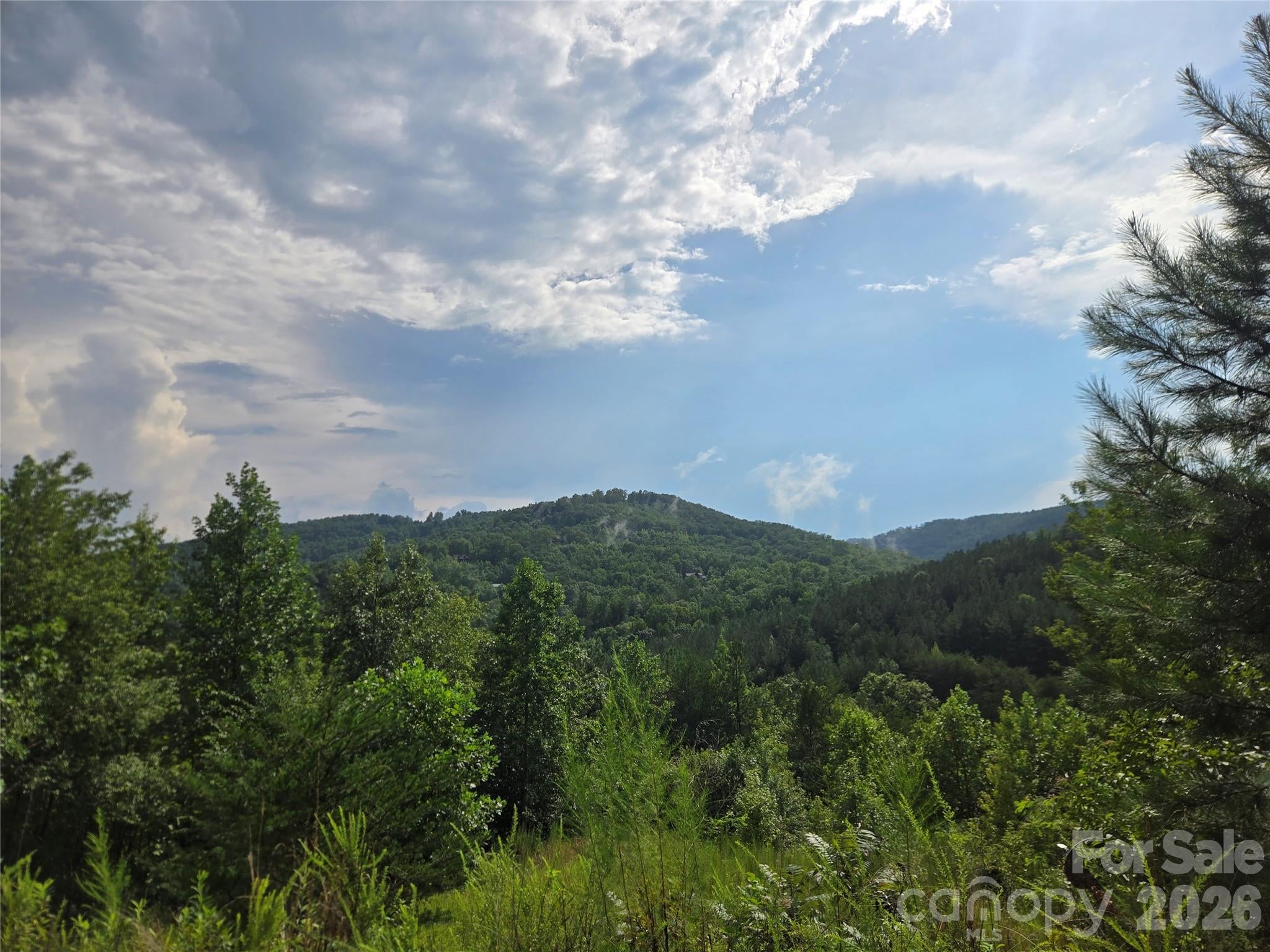 0 Pinegrove Drive 161