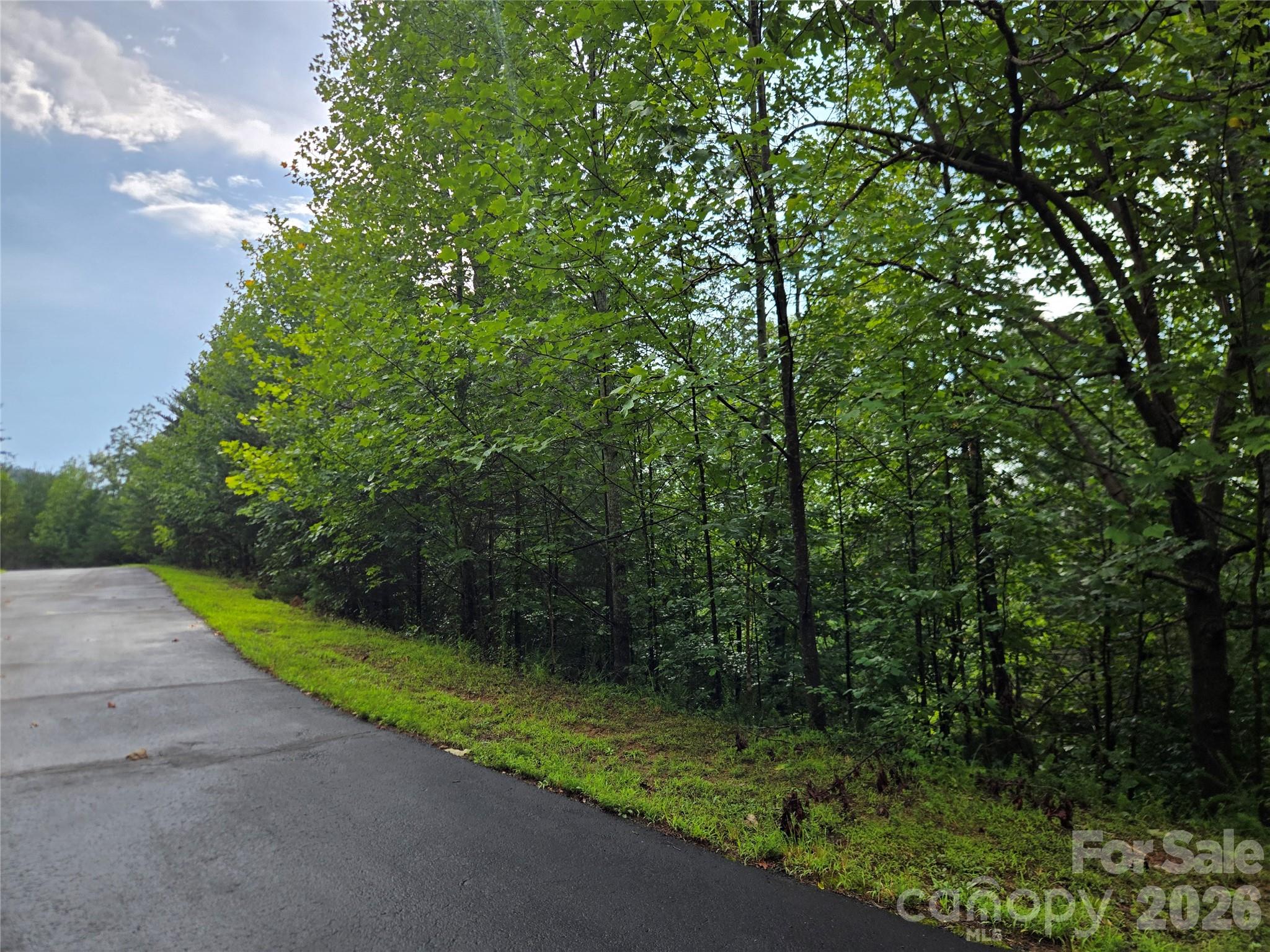 0 Pinegrove Drive 161