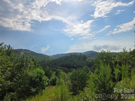 ADDRESS PRIVATE, BOSTIC, NC 28018 - Image f566dfab3e863aa2230cddfb74aa605a/3863868268