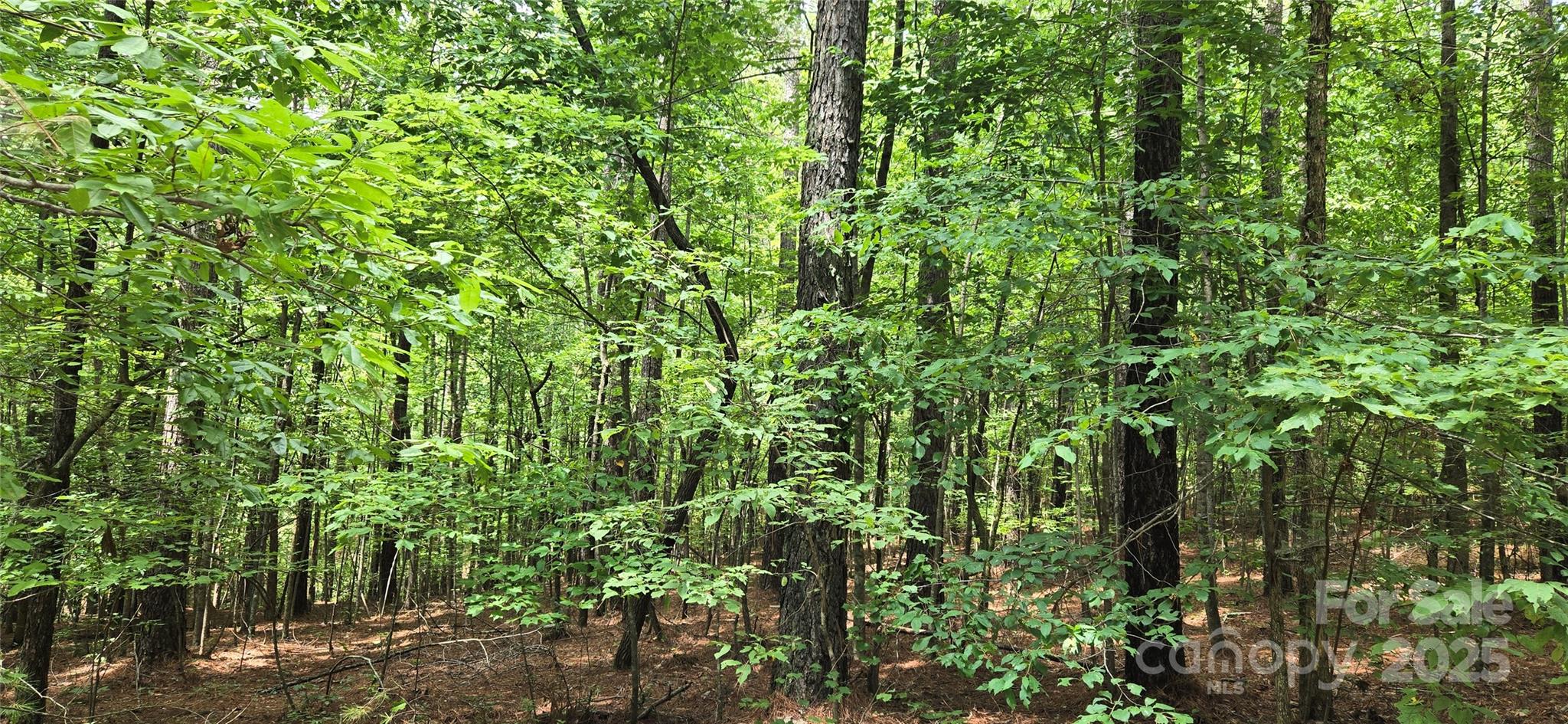 lot 15 Hidden Lake Parkway 15