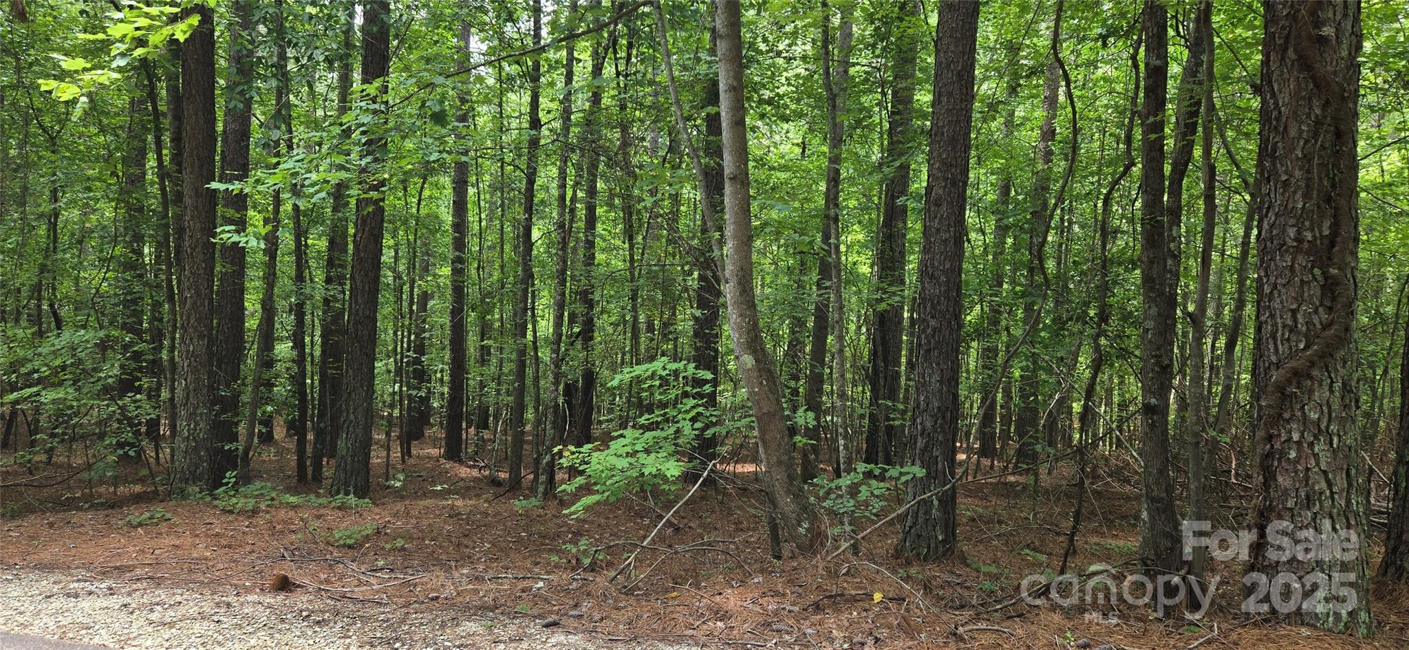 lot 15 Hidden Lake Parkway 15