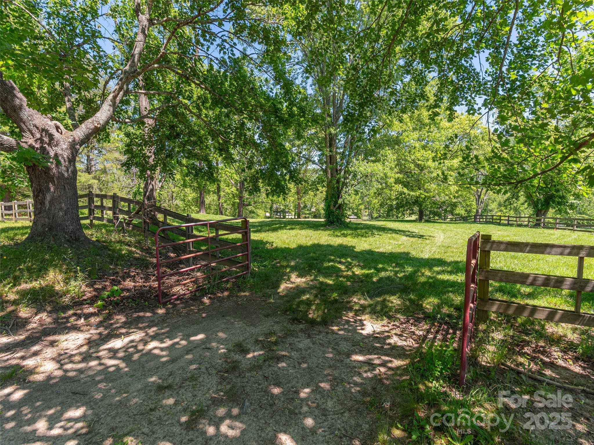 1132 Cane Creek Road