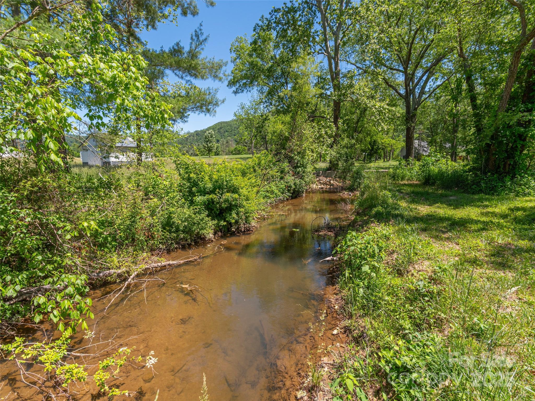 Cane Creek Ranch - Land