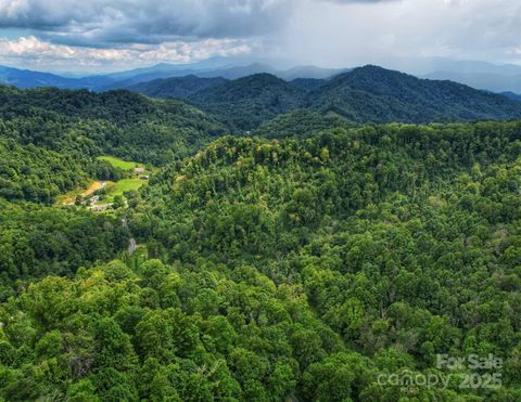 00 Windy Gap Road Tract B Mars Hill NC 28754