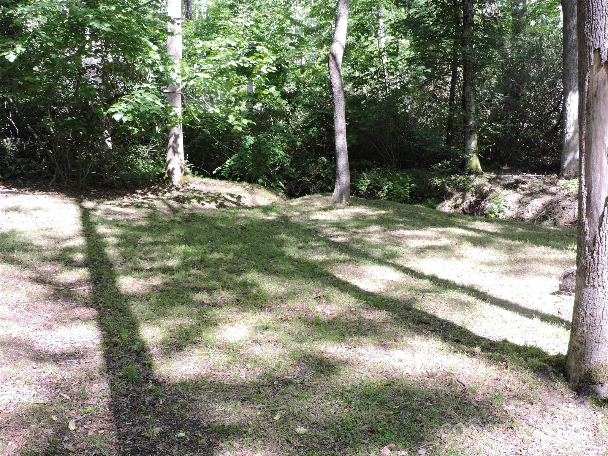 Swiss Pine Lake - Land