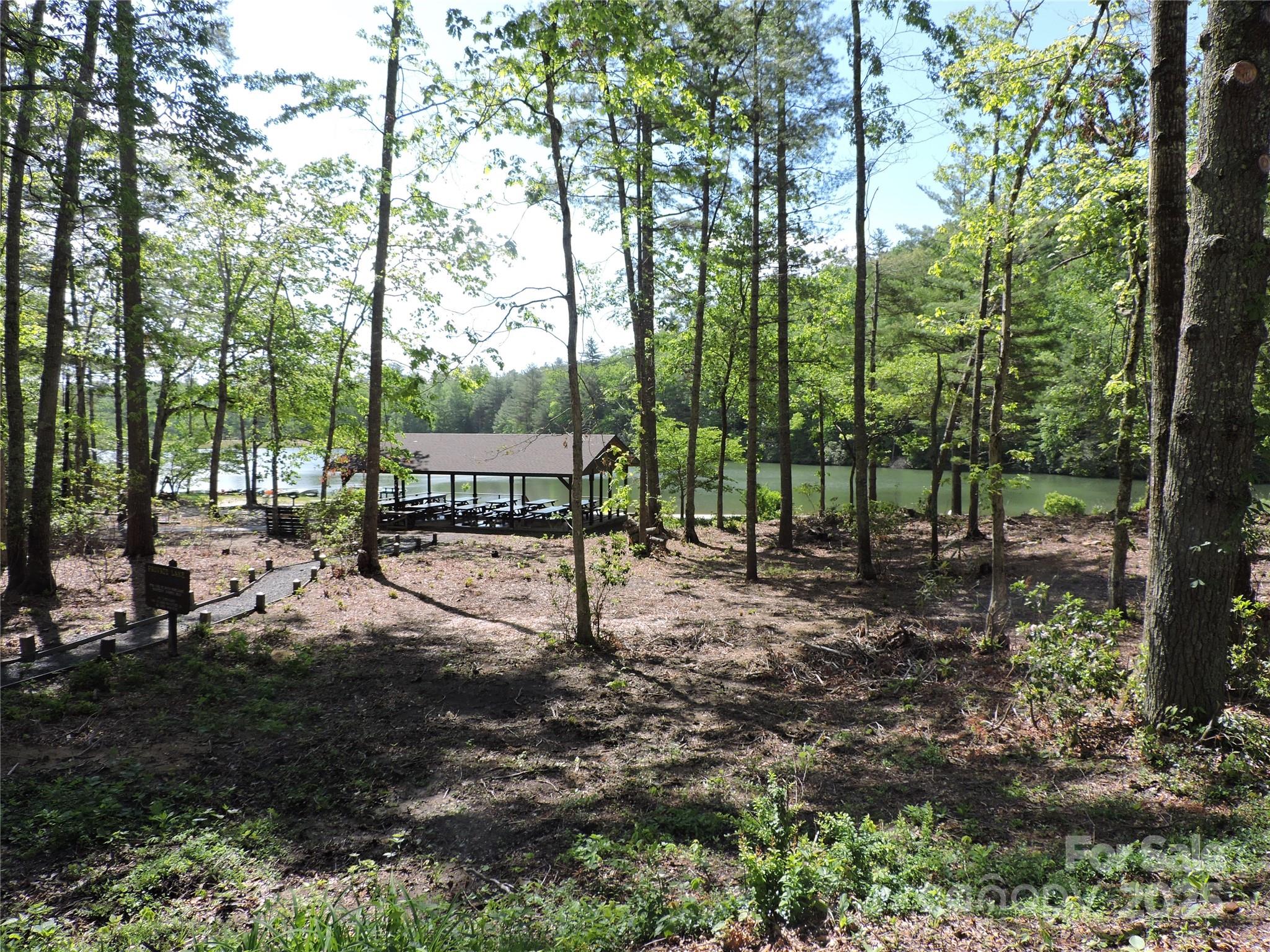 0 Swiss Pine Lake Drive