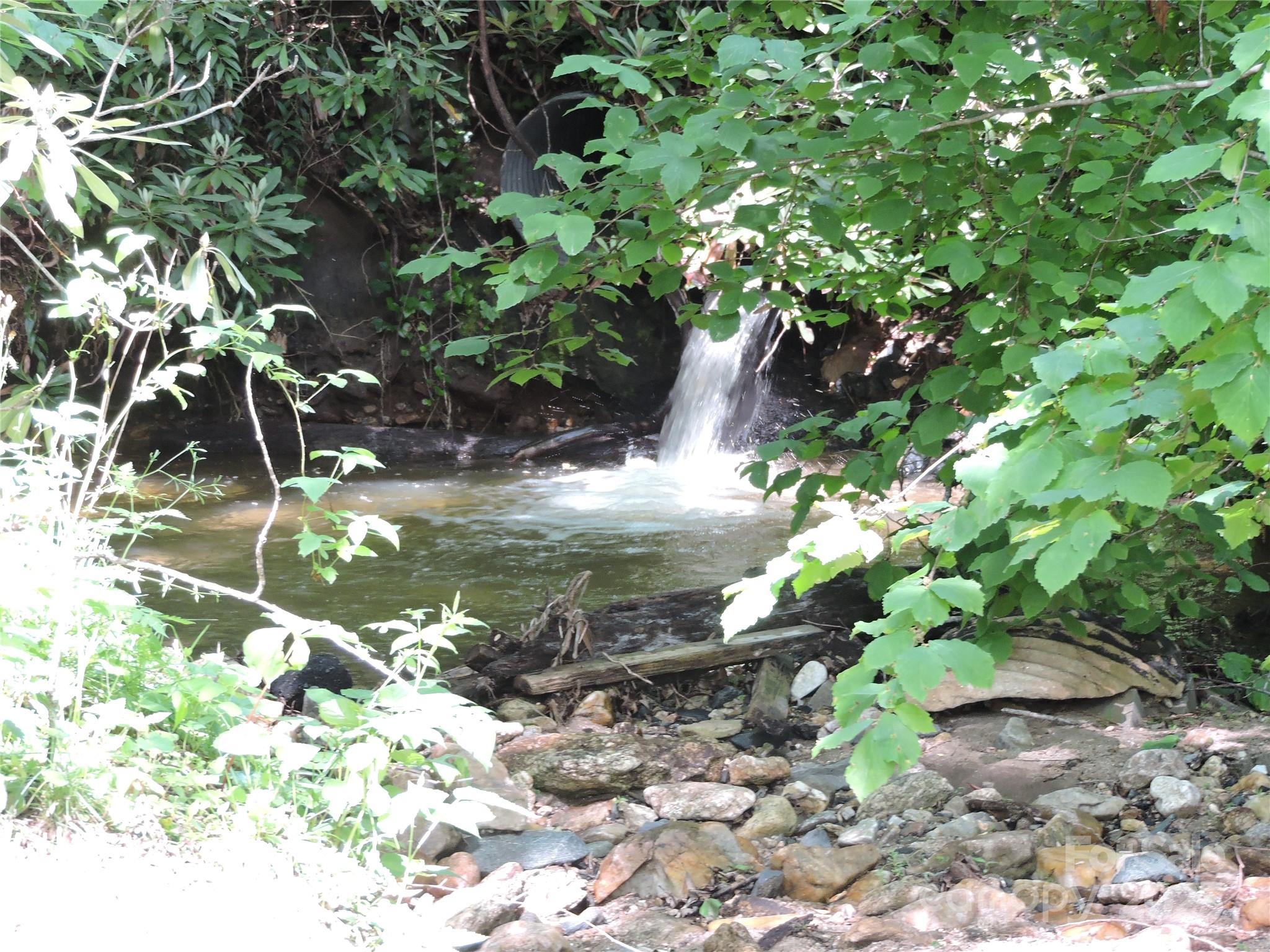 Swiss Pine Lake - Land