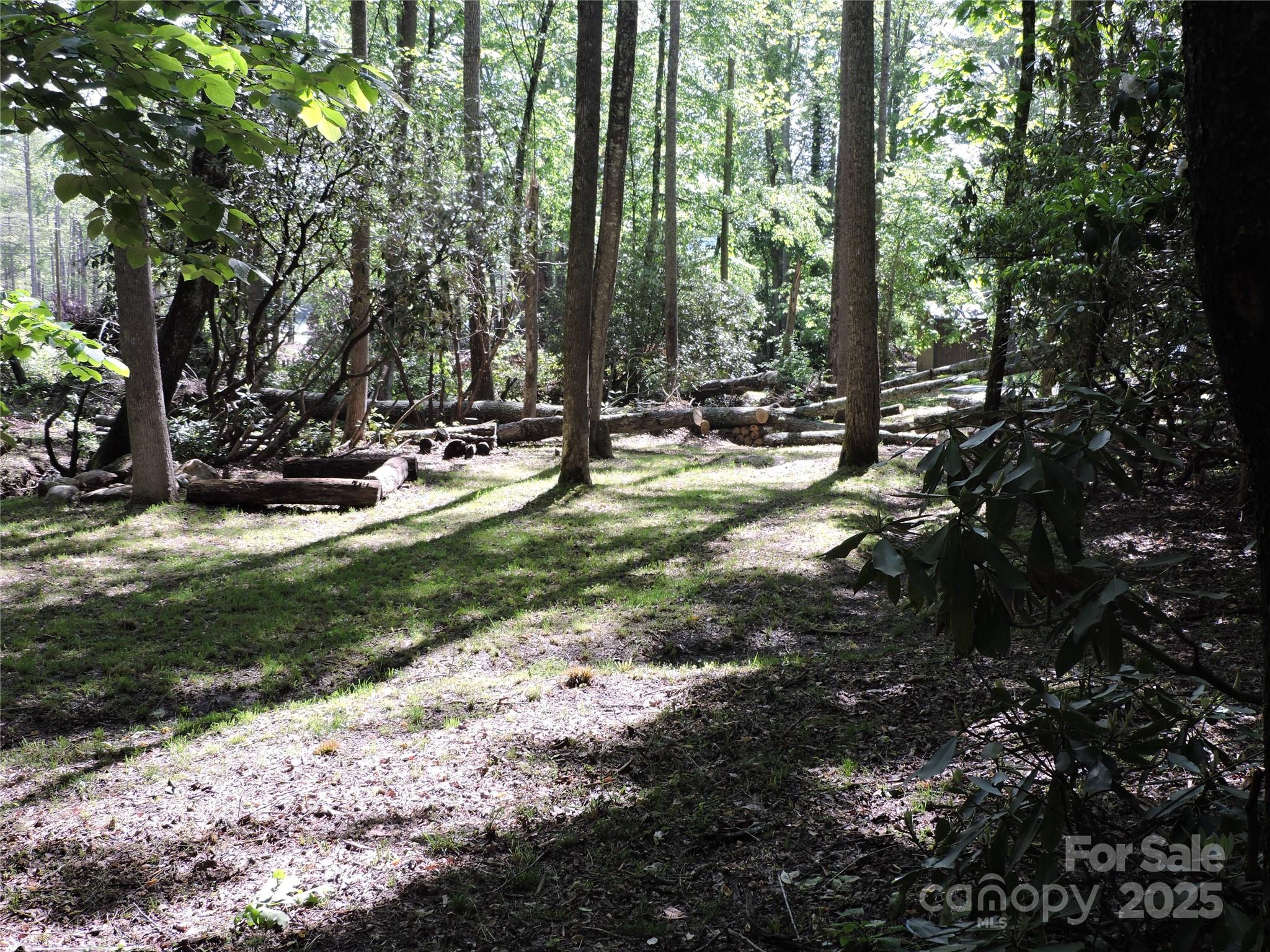 Swiss Pine Lake - Land