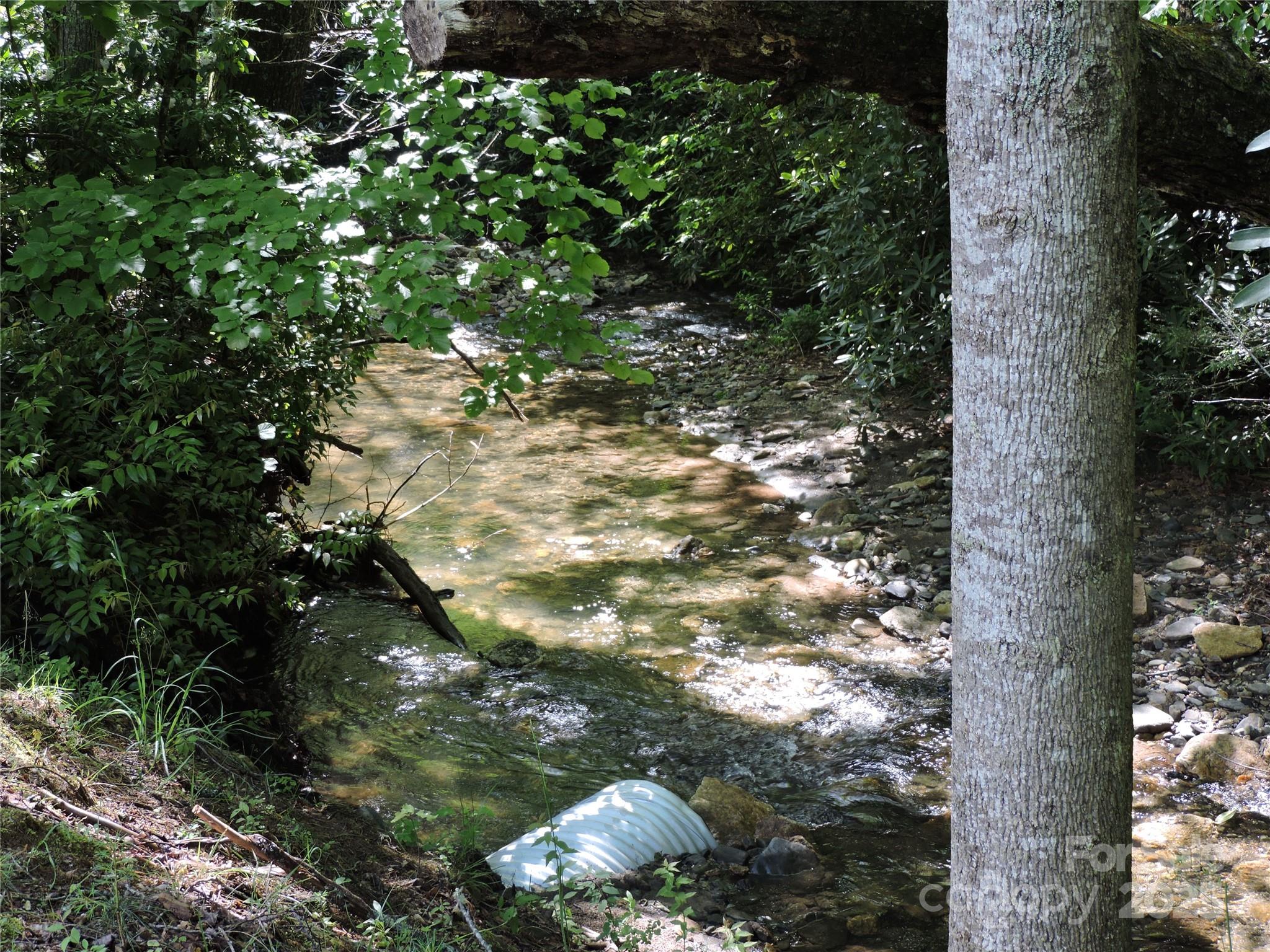 Swiss Pine Lake - Land