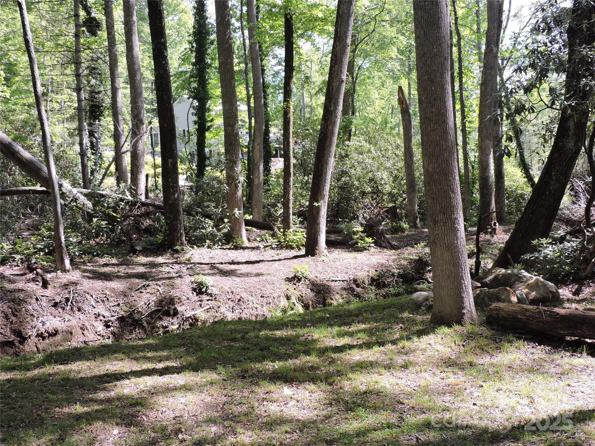 Swiss Pine Lake - Land