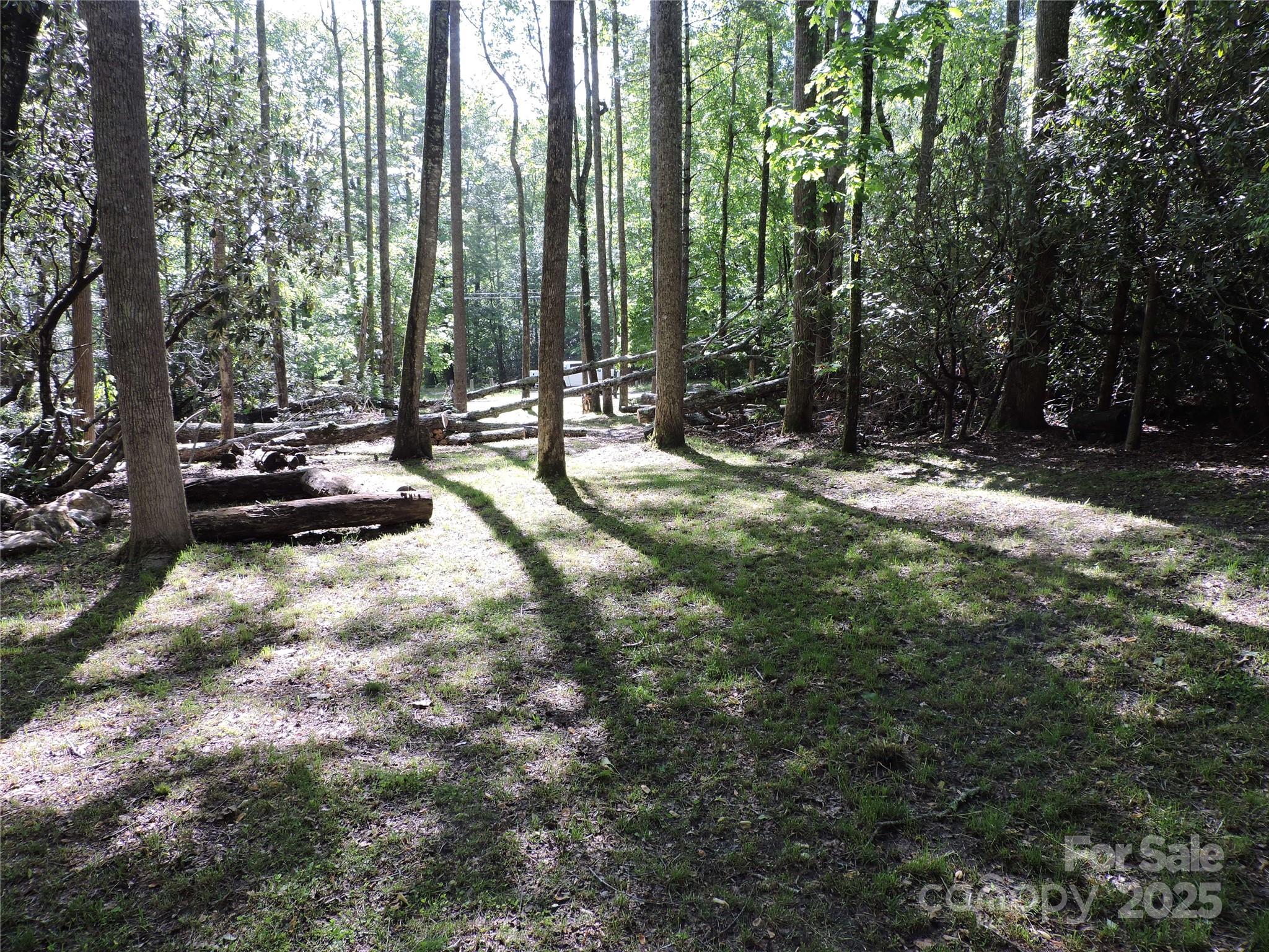 Swiss Pine Lake - Land