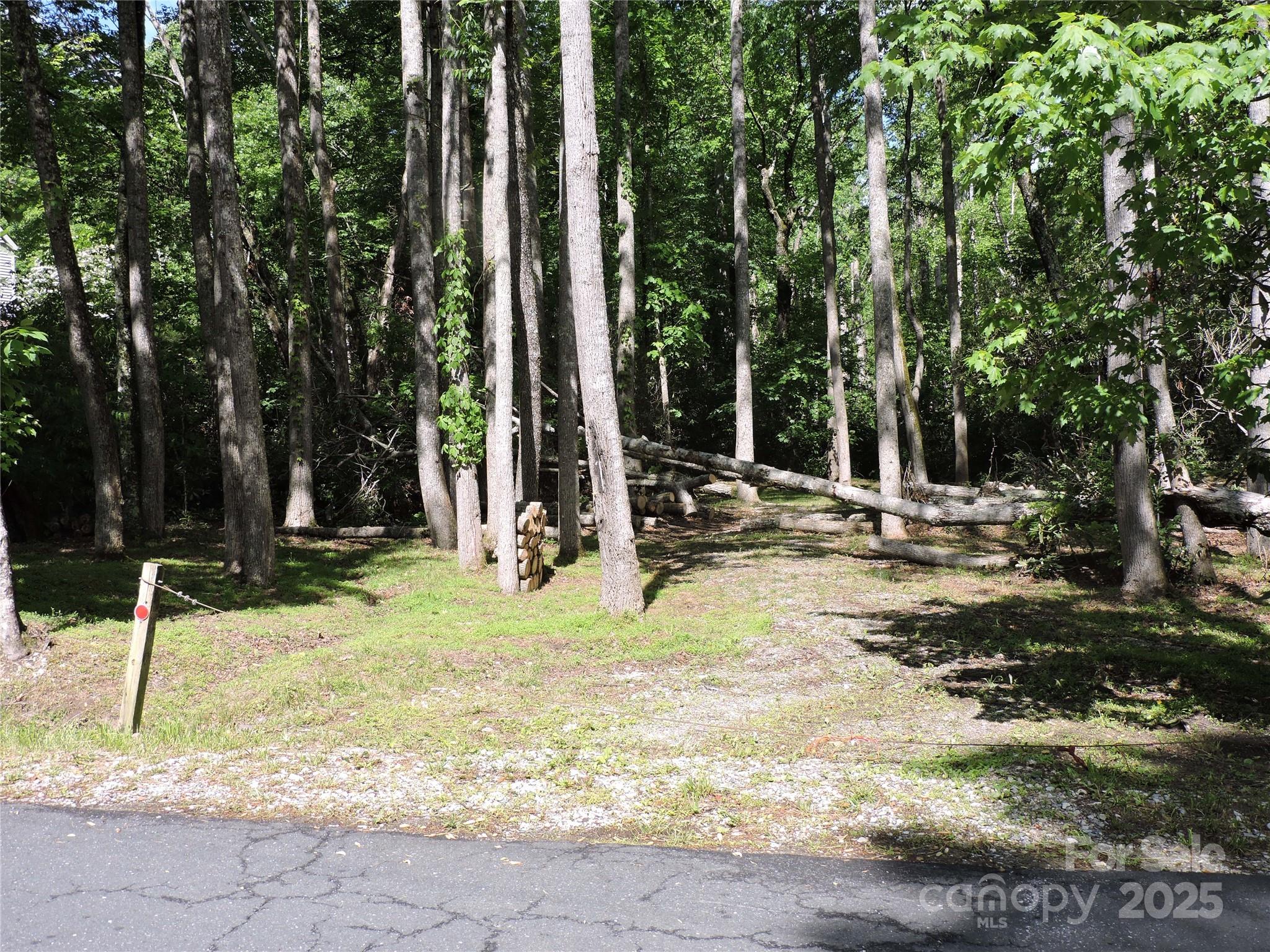 Swiss Pine Lake - Land
