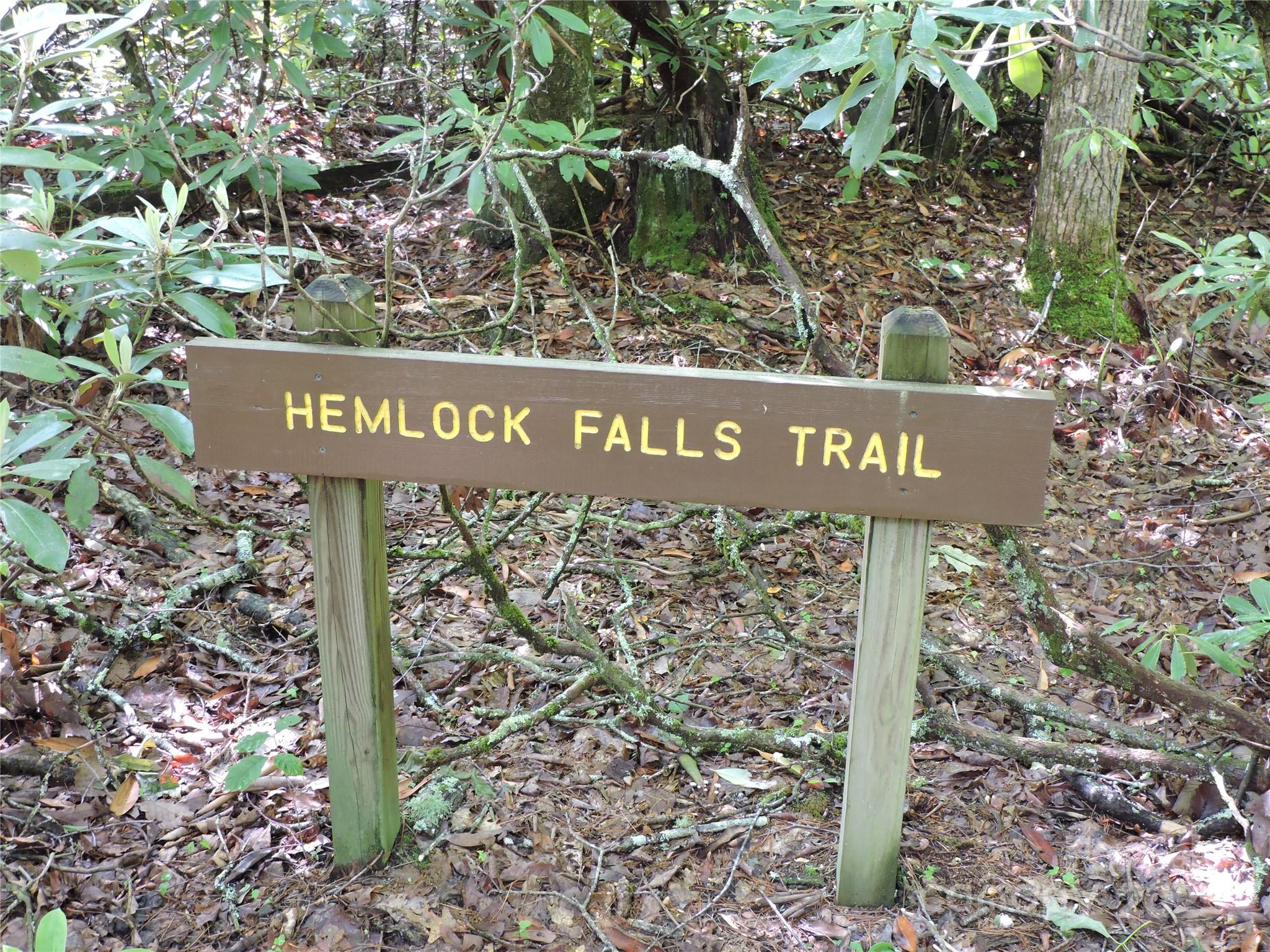 Swiss Pine Lake - Land