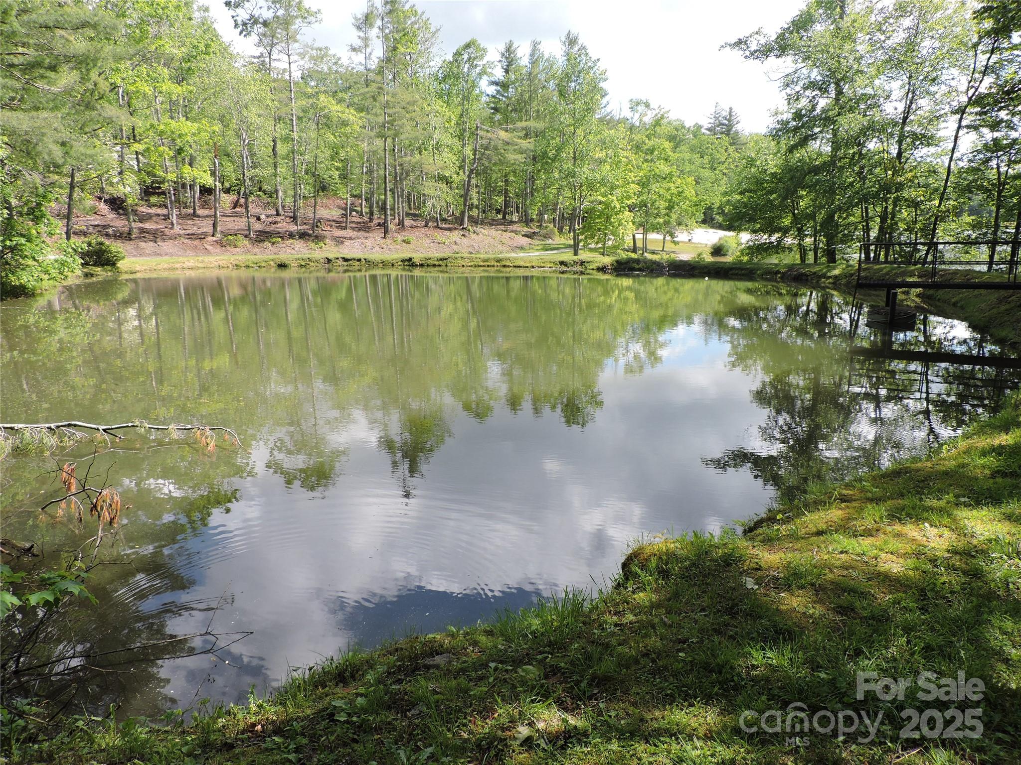 Swiss Pine Lake - Land