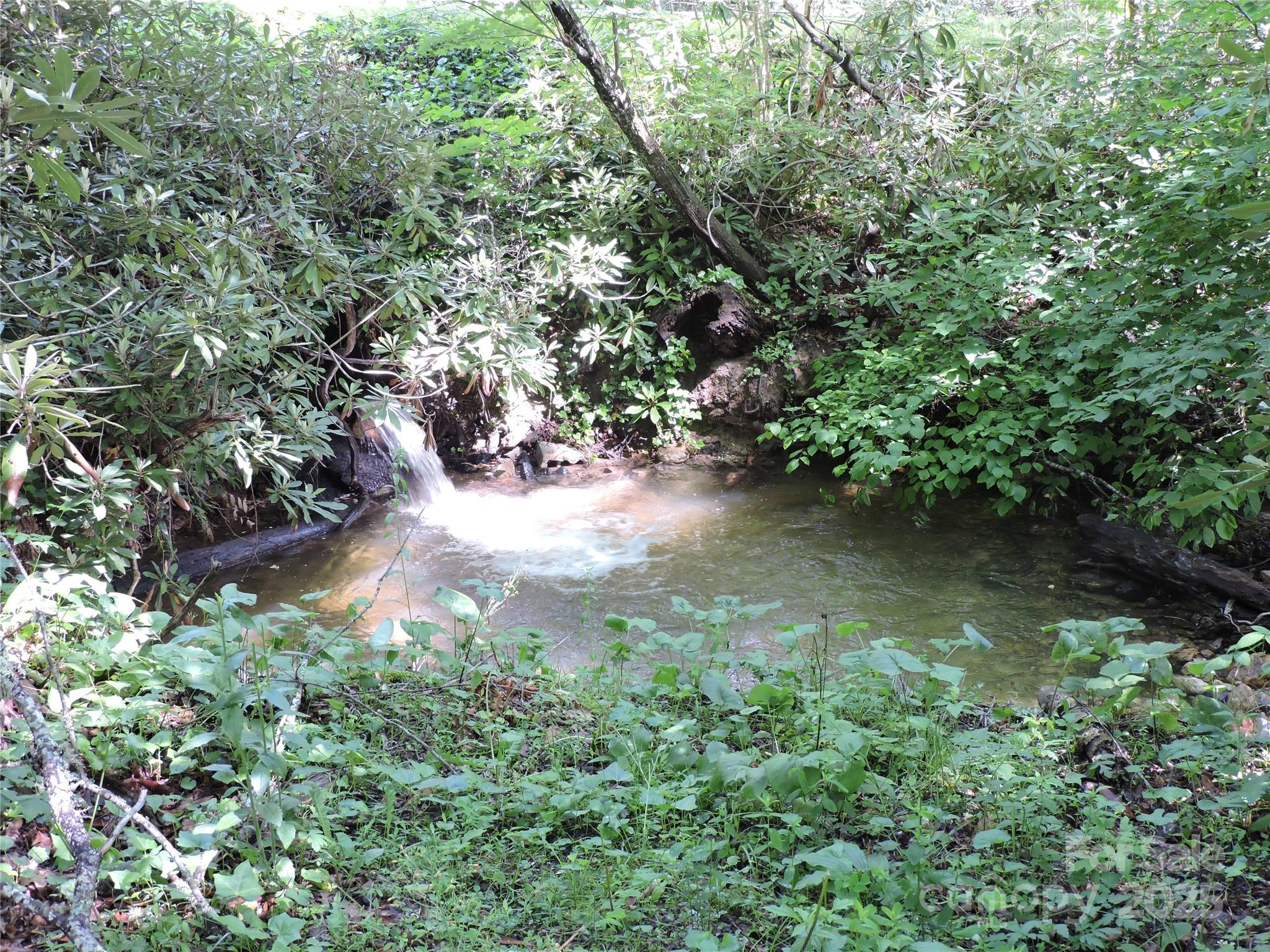 Swiss Pine Lake - Land