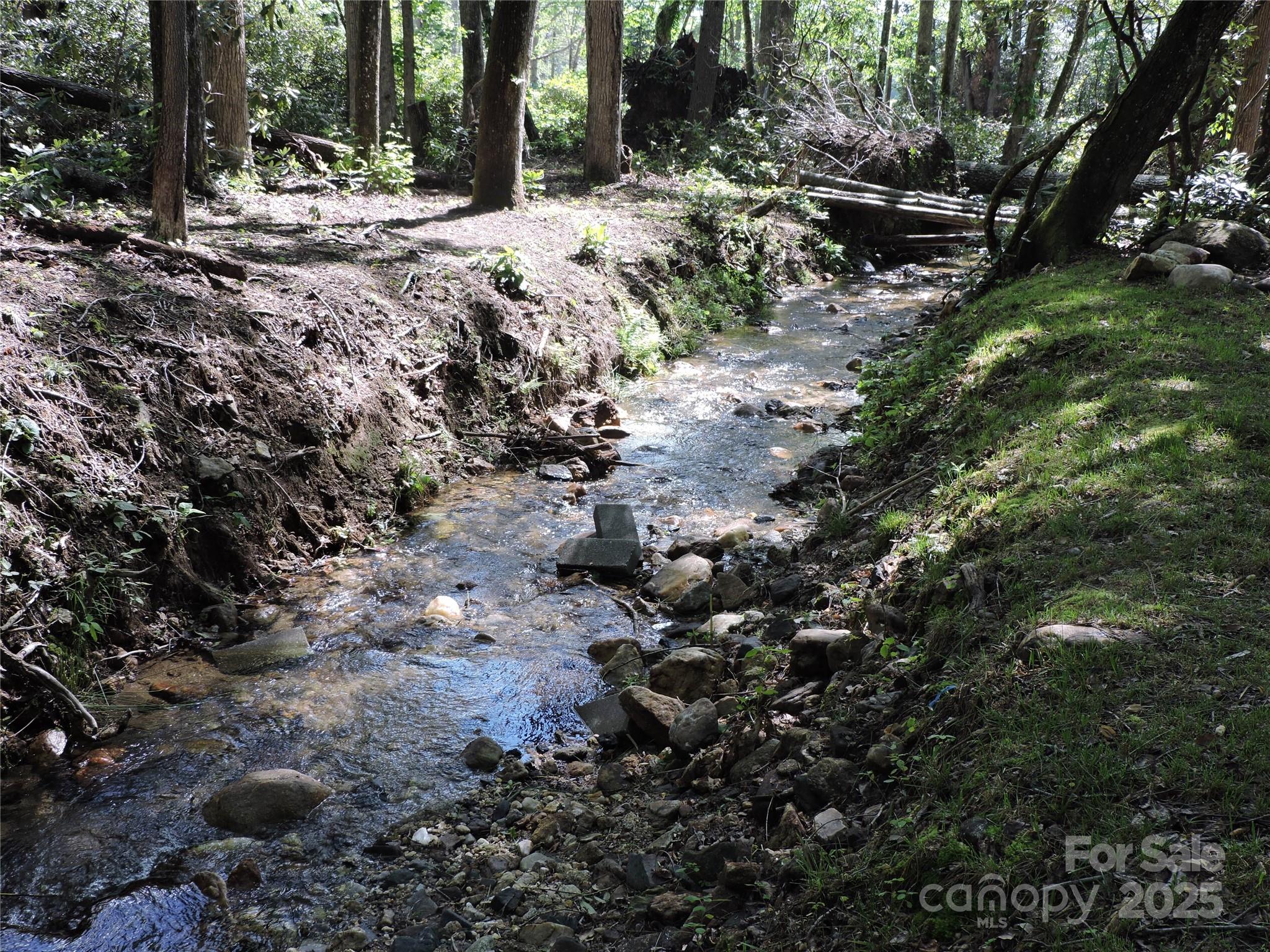 Swiss Pine Lake - Land