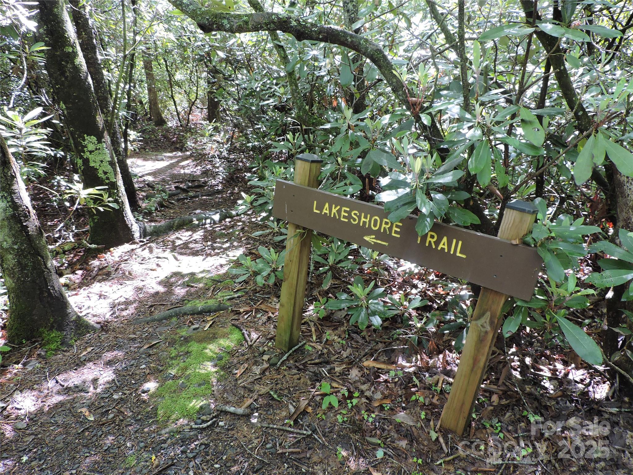 Swiss Pine Lake - Land