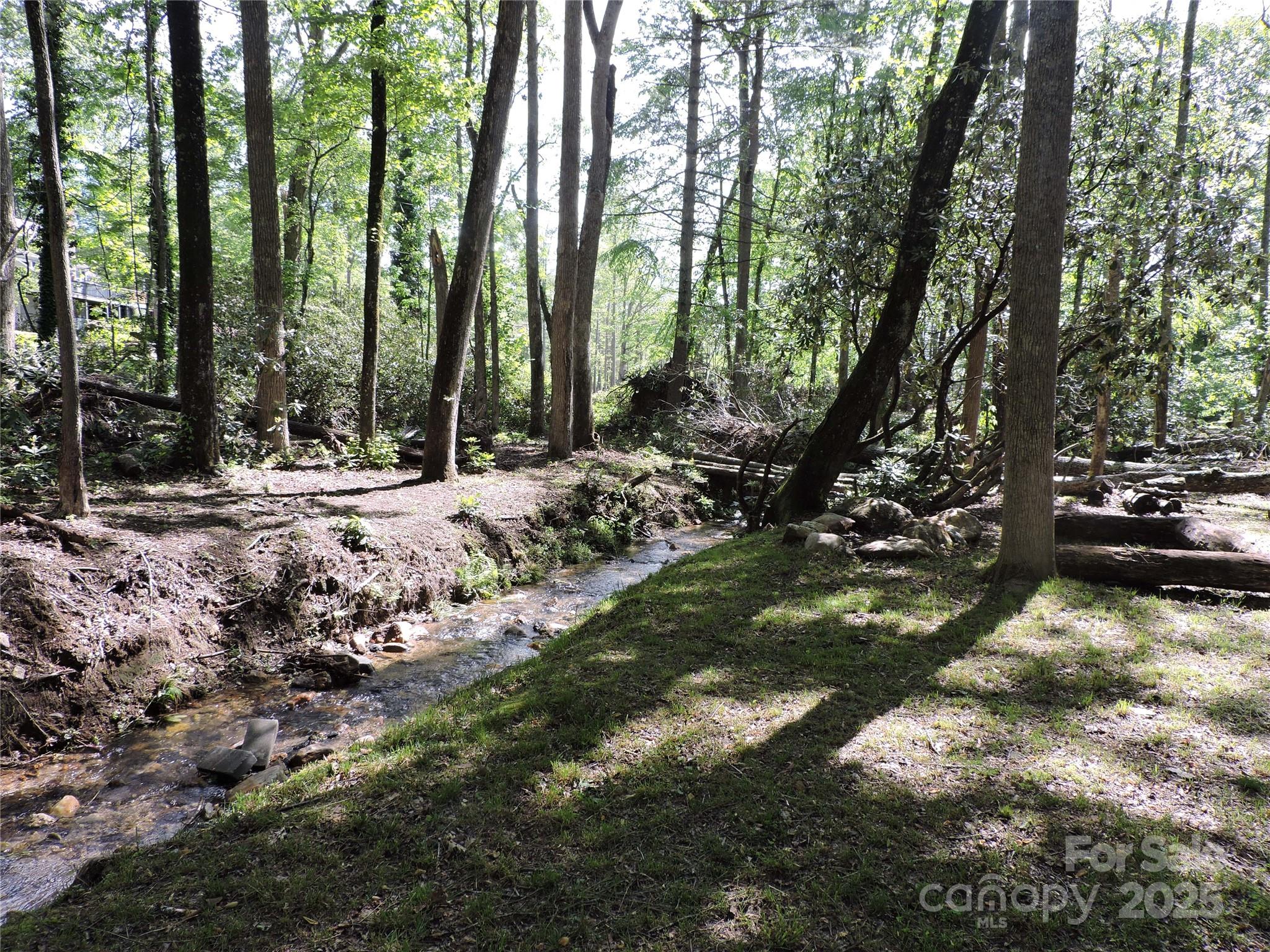 Swiss Pine Lake - Land