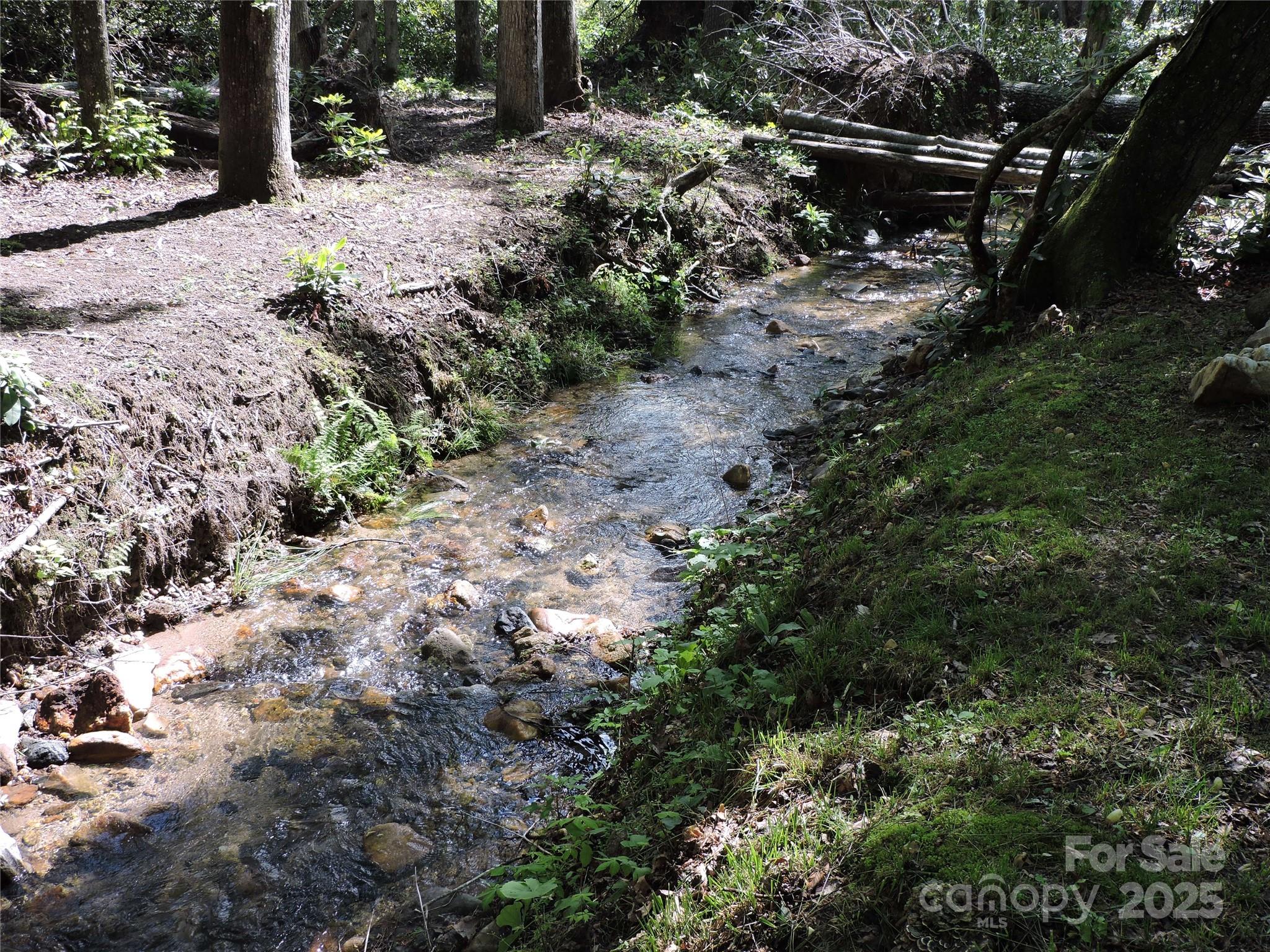 Swiss Pine Lake - Land