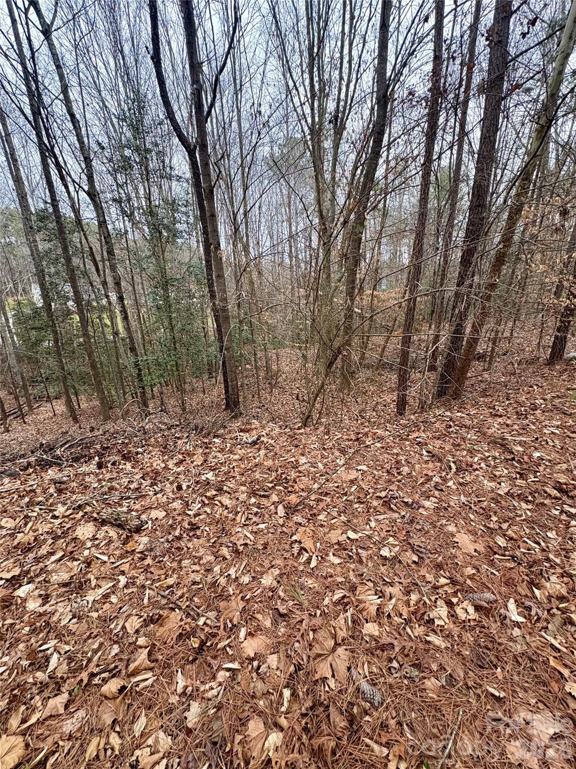 Grace Harbour - Land