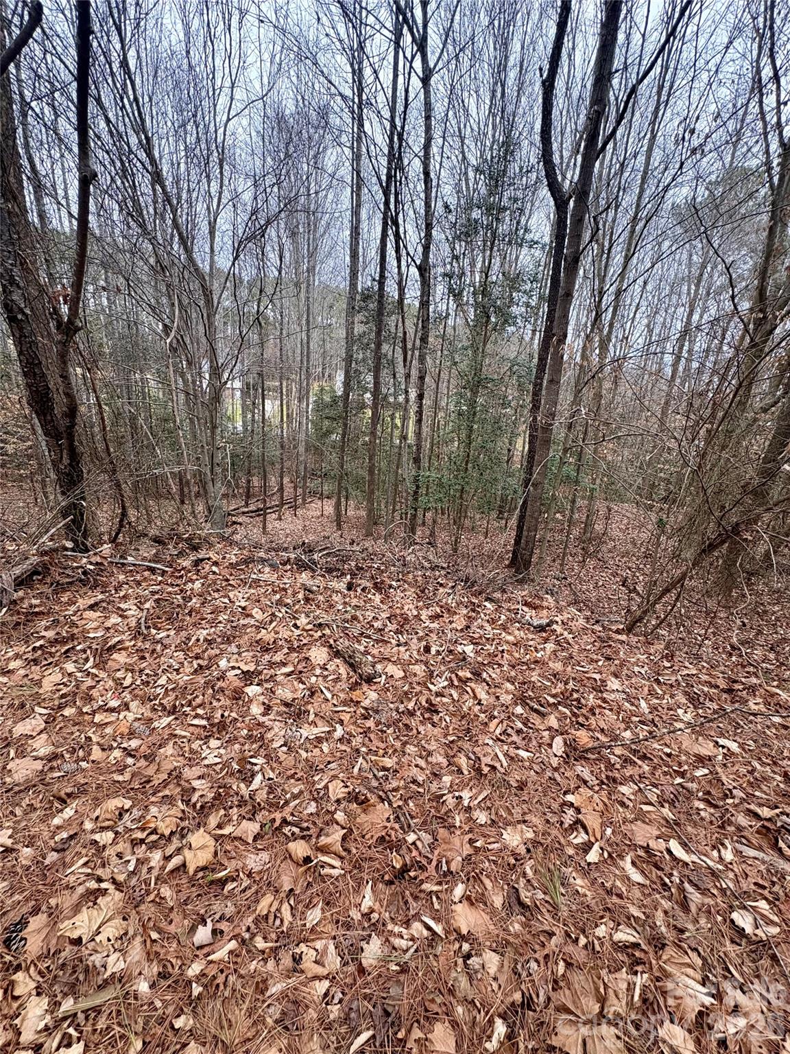 Grace Harbour - Land