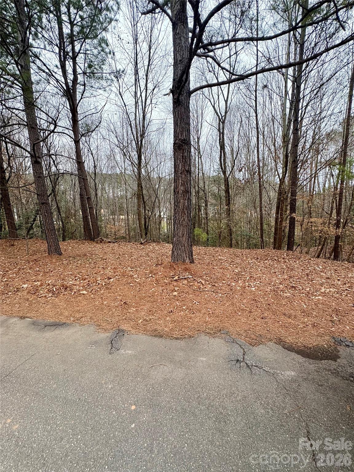 Grace Harbour - Land