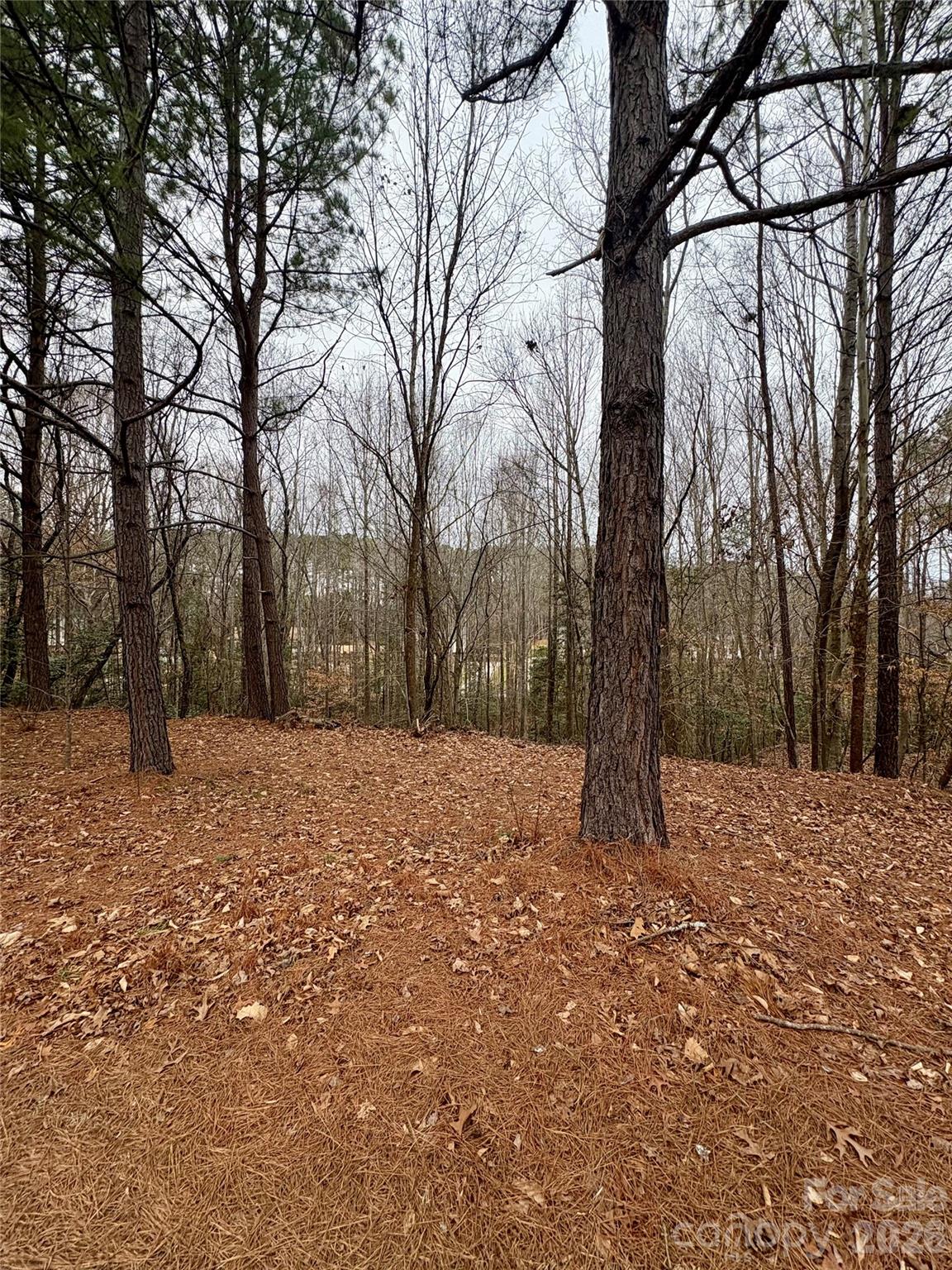 Grace Harbour - Land