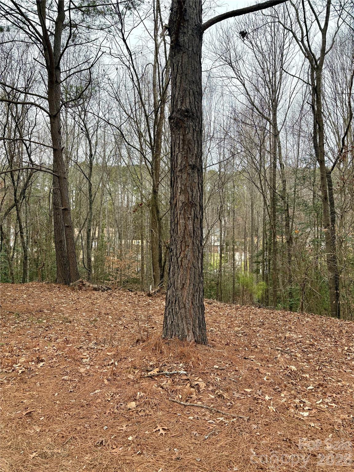 Grace Harbour - Land