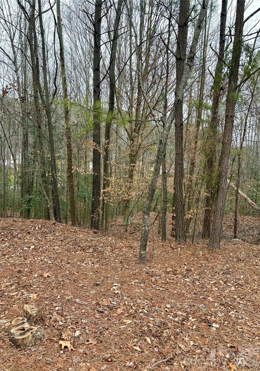 Grace Harbour - Land