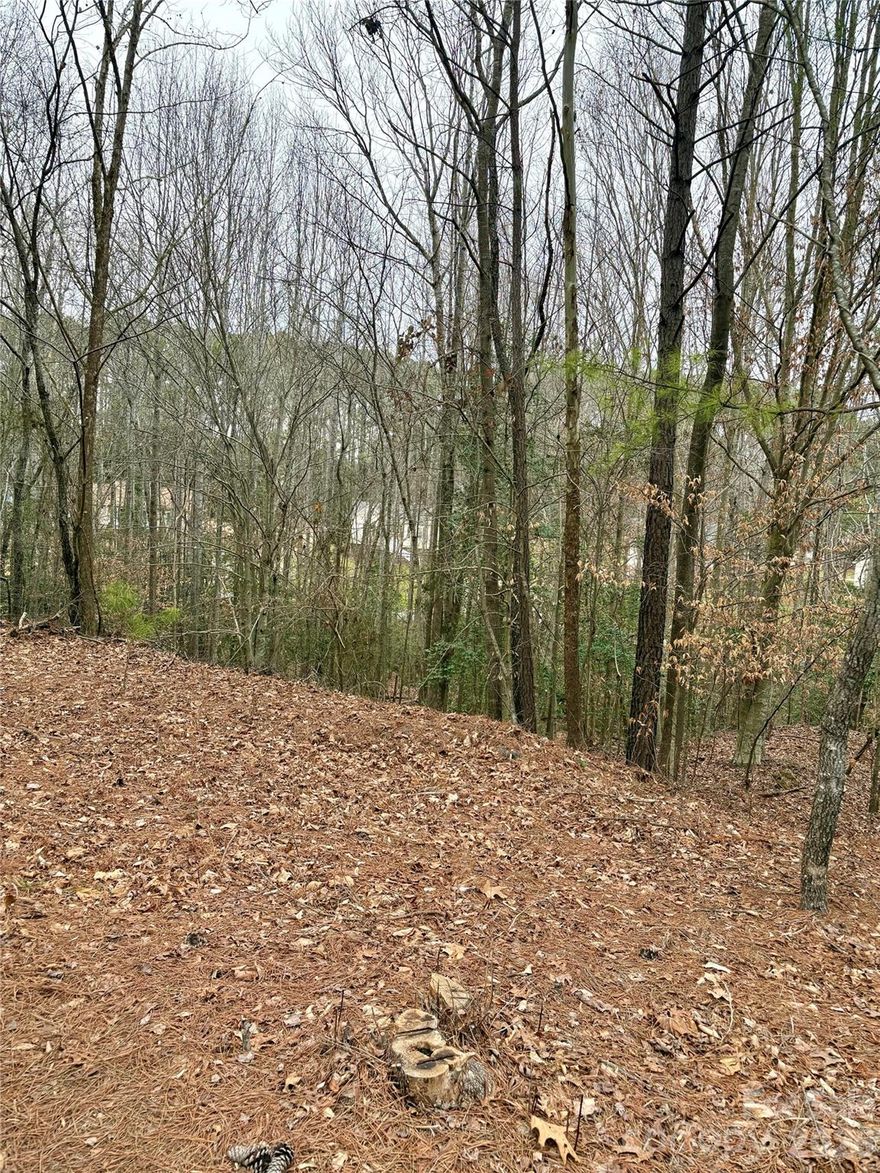 Beautiful wooded homesite offering a peaceful, natural setting with gently sloping terrain-ideal for a custom build with potential for a walk-out basement.
Mature trees provide privacy and a serene backdrop, while the position offers seasonal views of the surrounding neighborhood. The lot sits along a paved road with easy access to nearby homes and utilities in the area. Enjoy a quiet, established setting while still being convenient to local shopping, dining, and major routes. A perfect opportunity to build your dream home in a tranquil wooded environment .