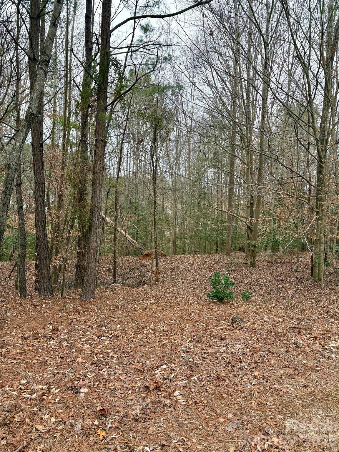 Grace Harbour - Land