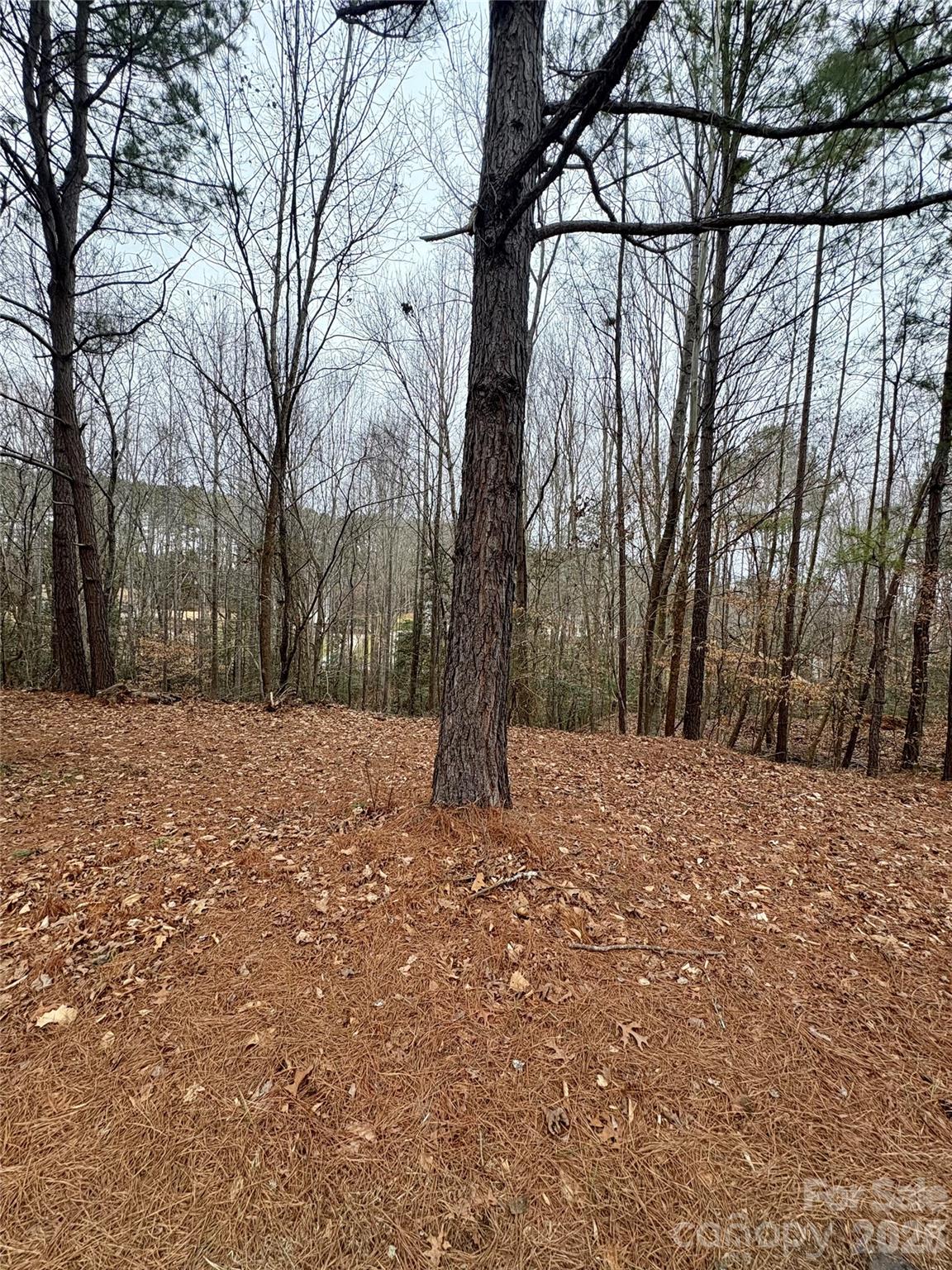 Grace Harbour - Land