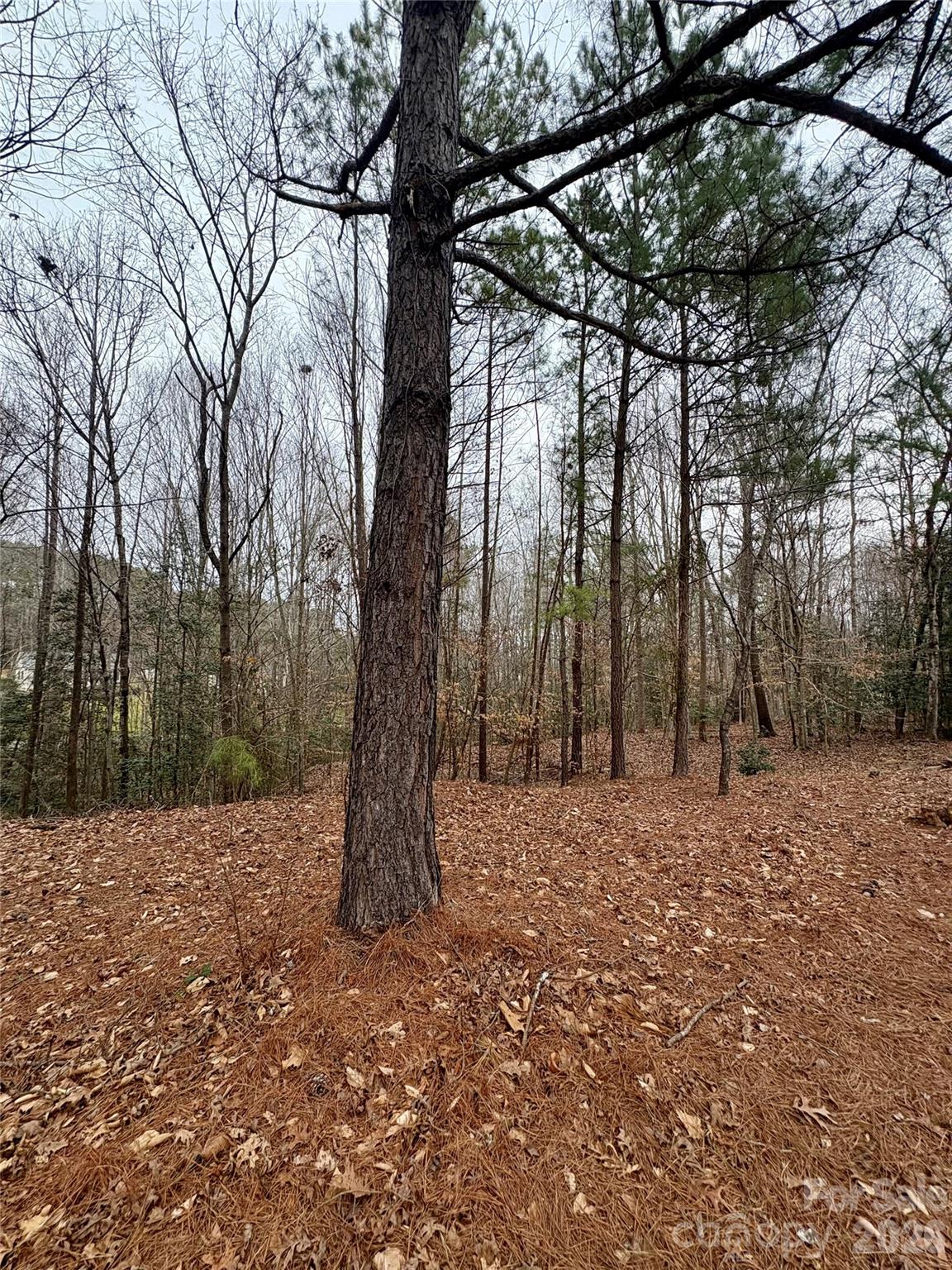 Grace Harbour - Land