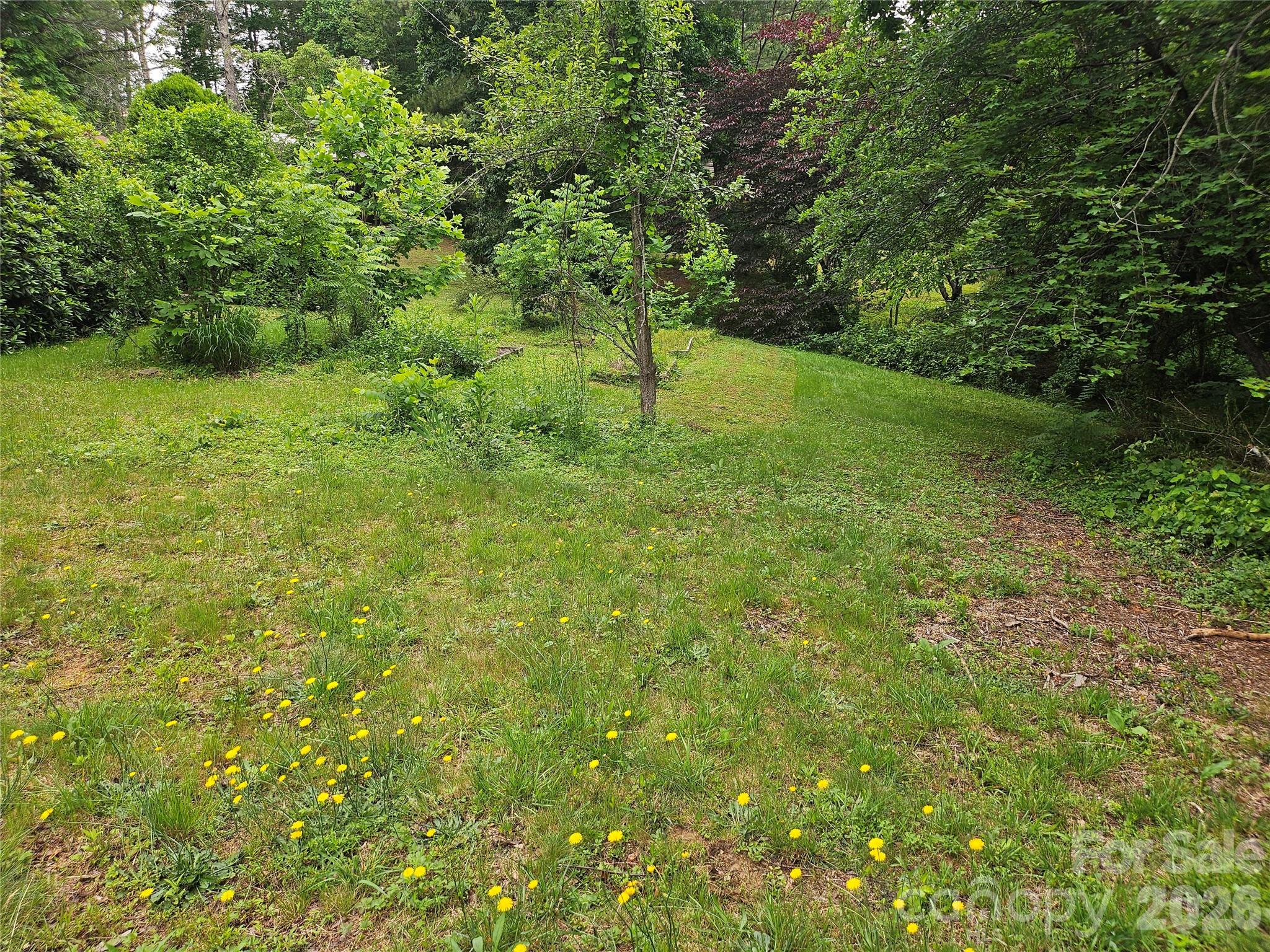 610 Emmas Grove Road