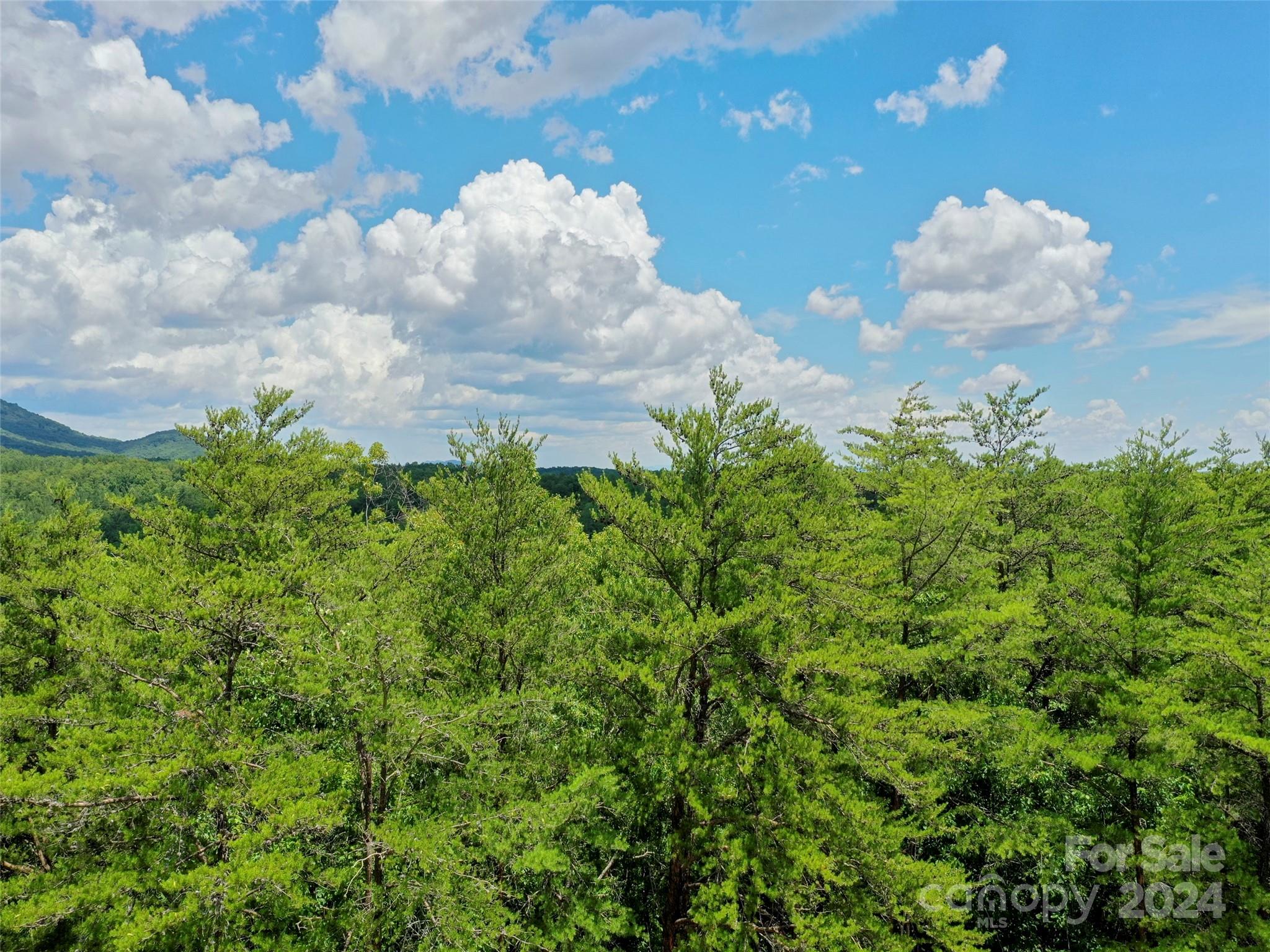 Brights Creek - Residential