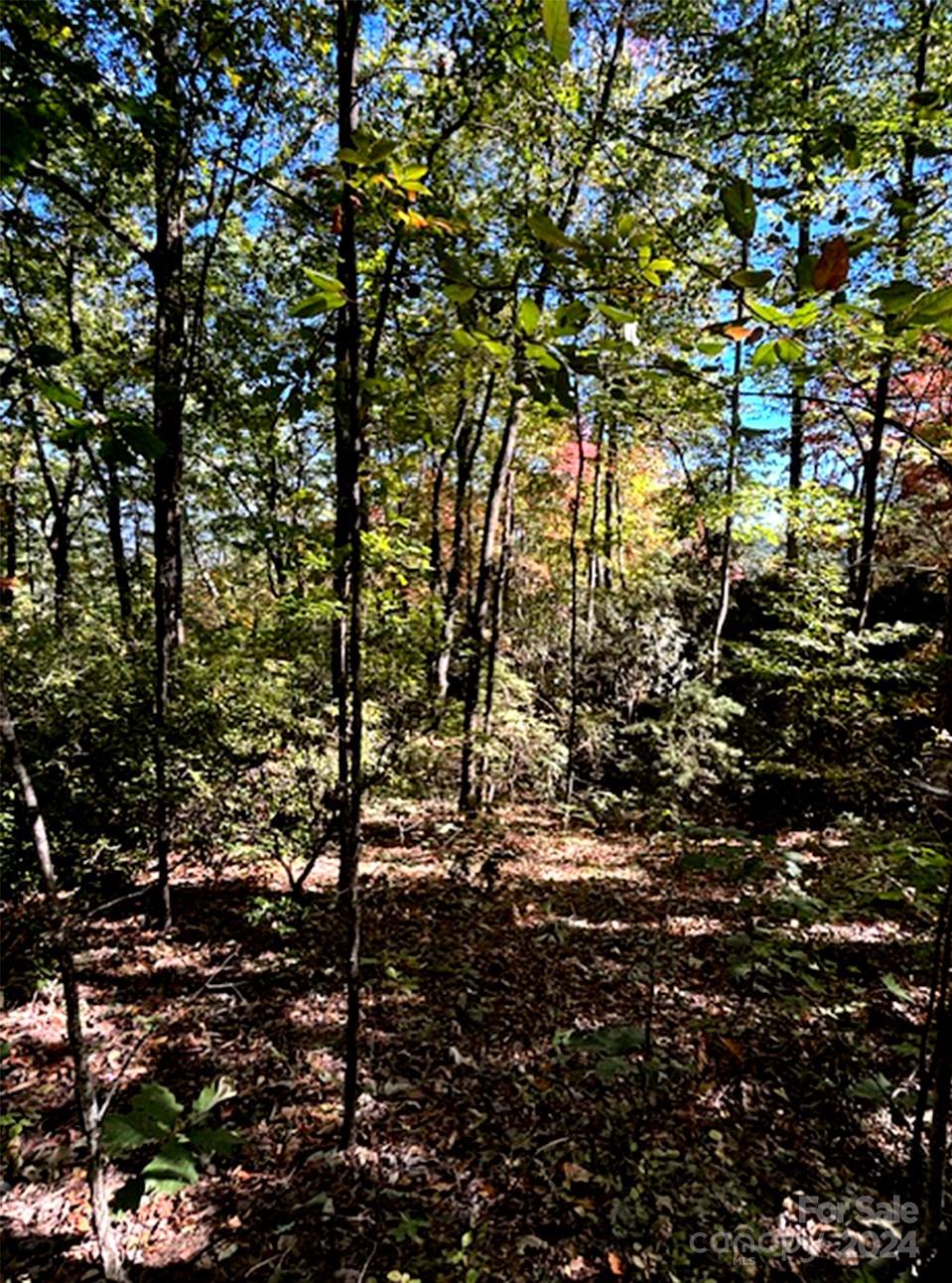 Riverbend Highlands - Land