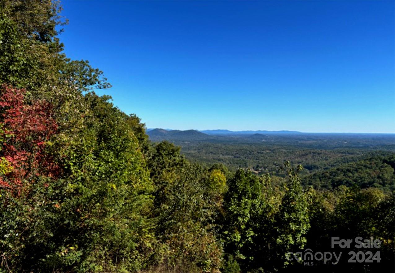 0 Hickory Nut Lane 393, #419