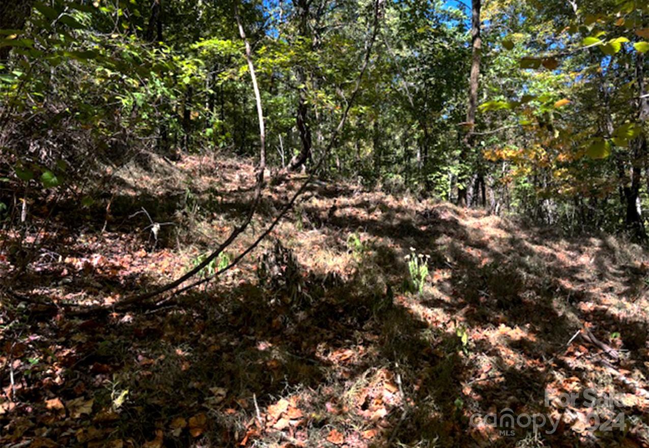 Riverbend Highlands - Land