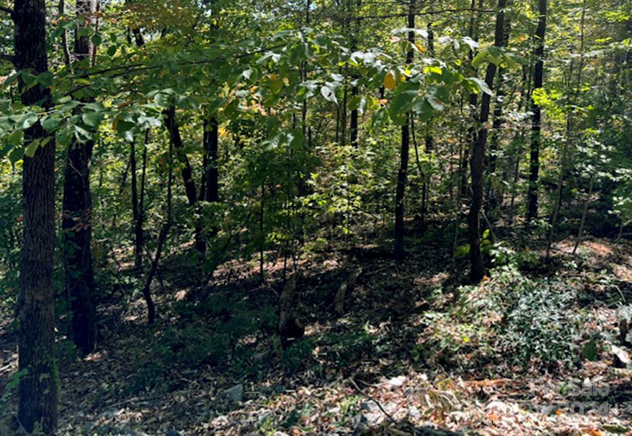 Riverbend Highlands - Land